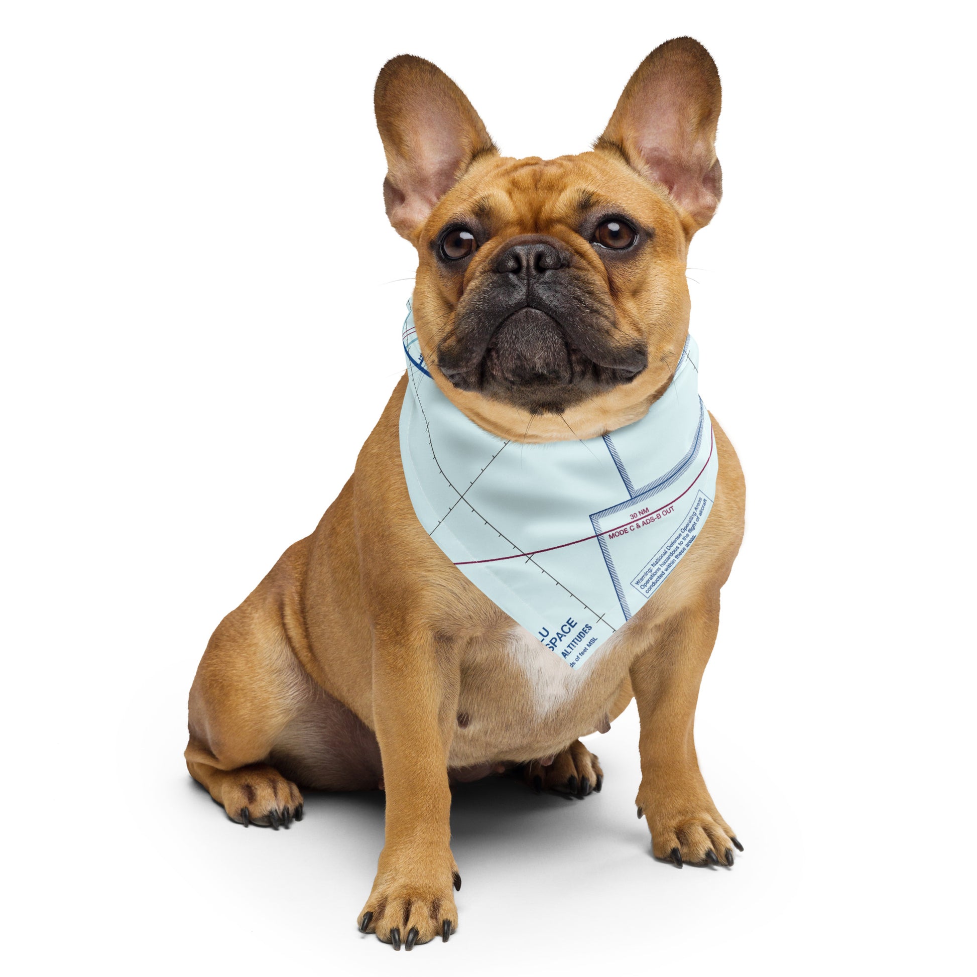 Honolulu Sectional Chart bandana