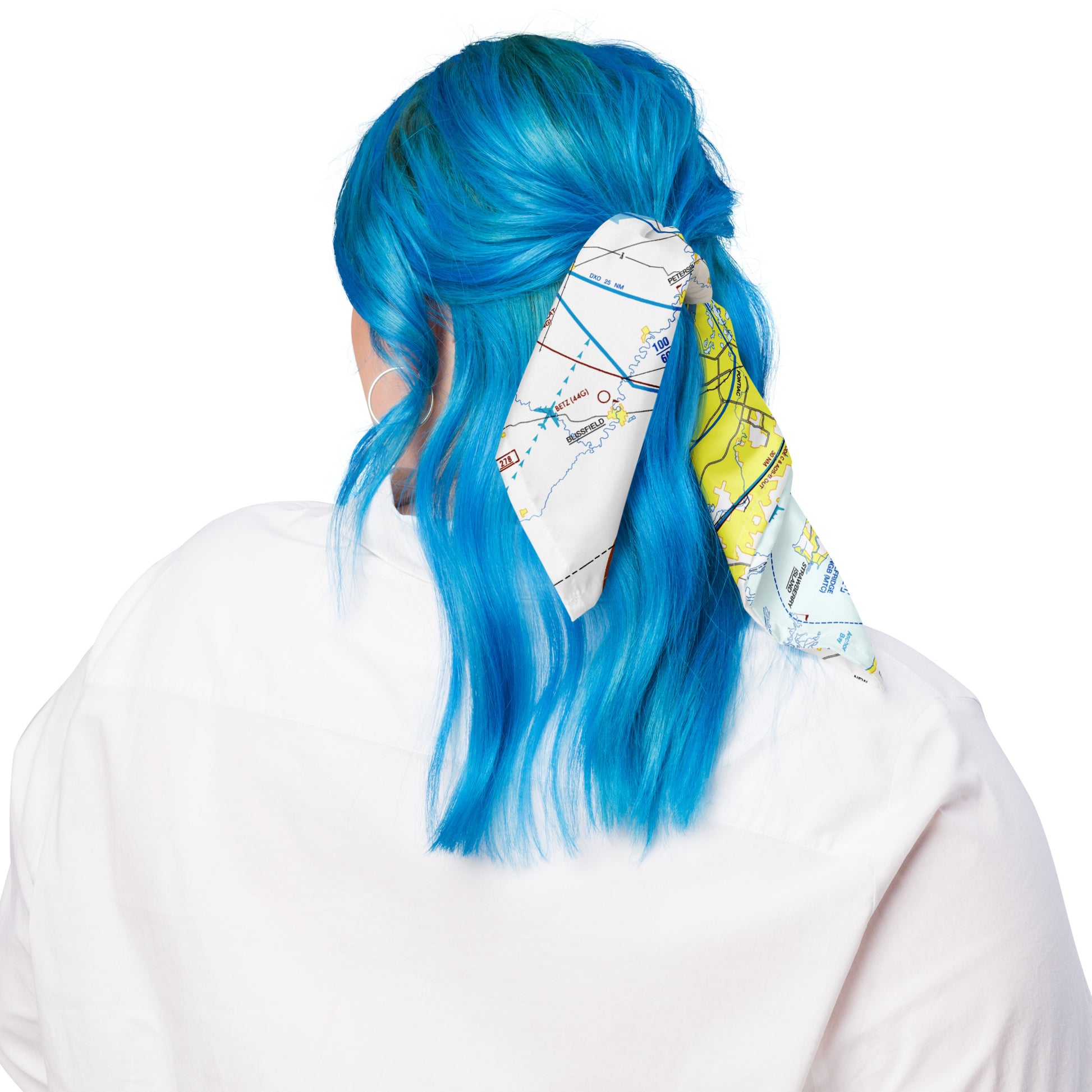 Detroit Flyway Chart bandana