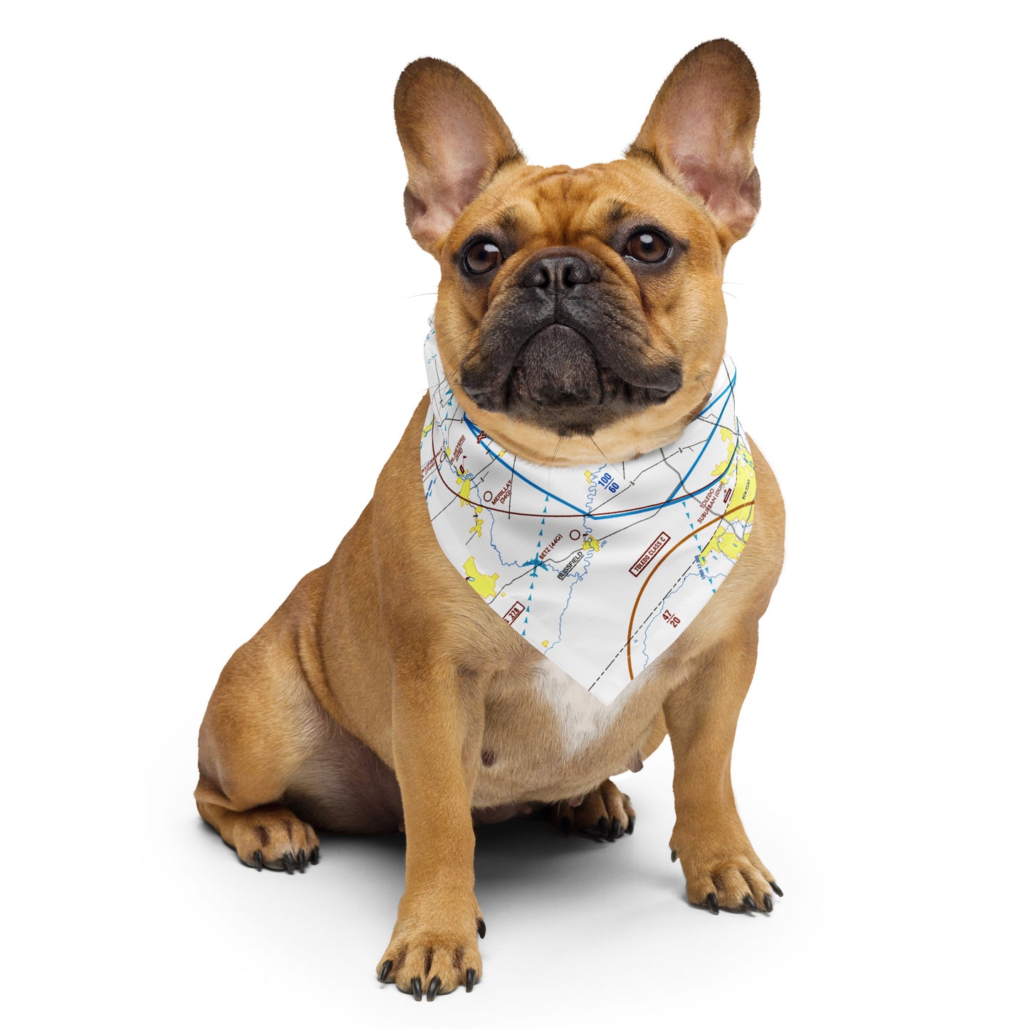 Detroit Flyway Chart bandana