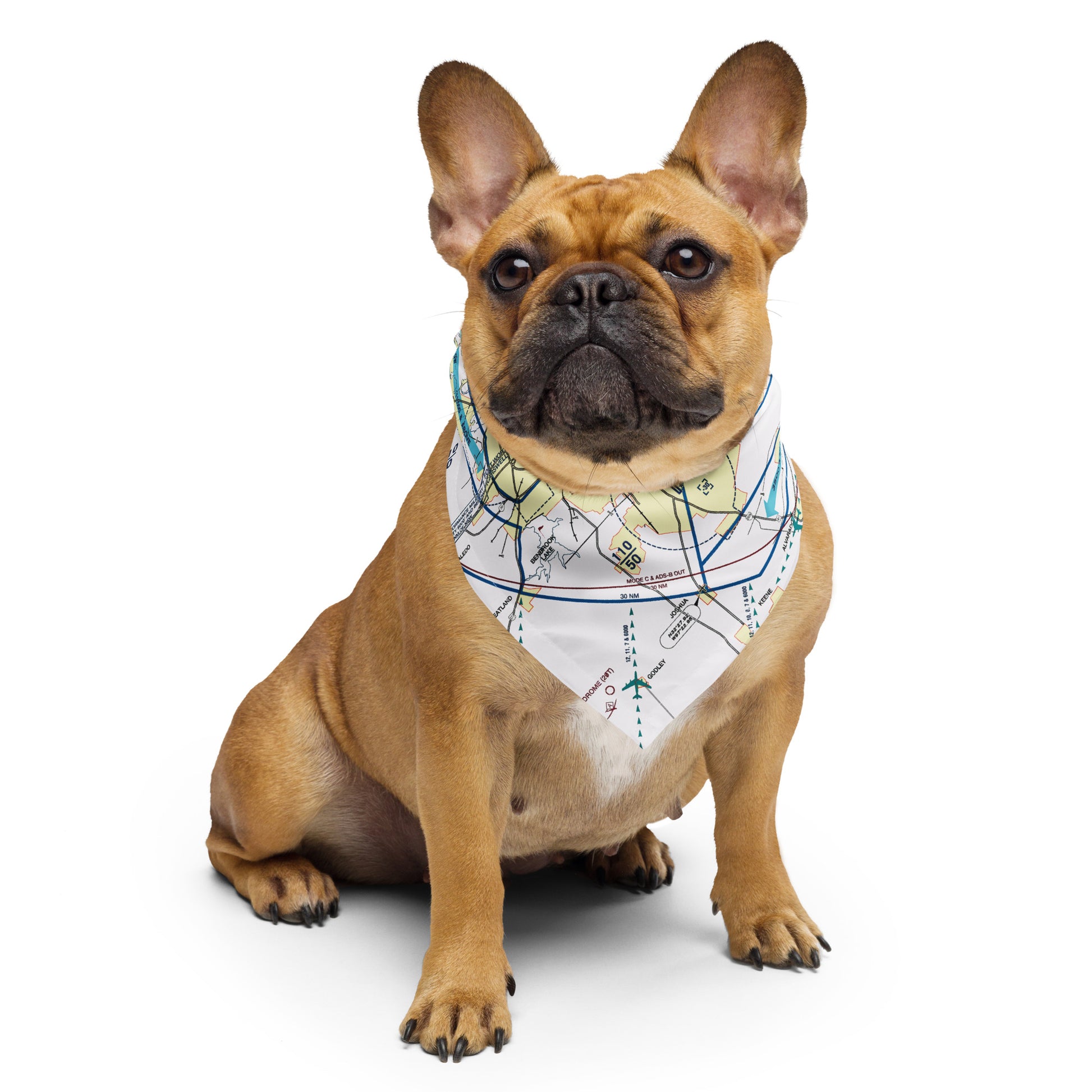 Dallas - Ft. Worth Flyway Chart bandana