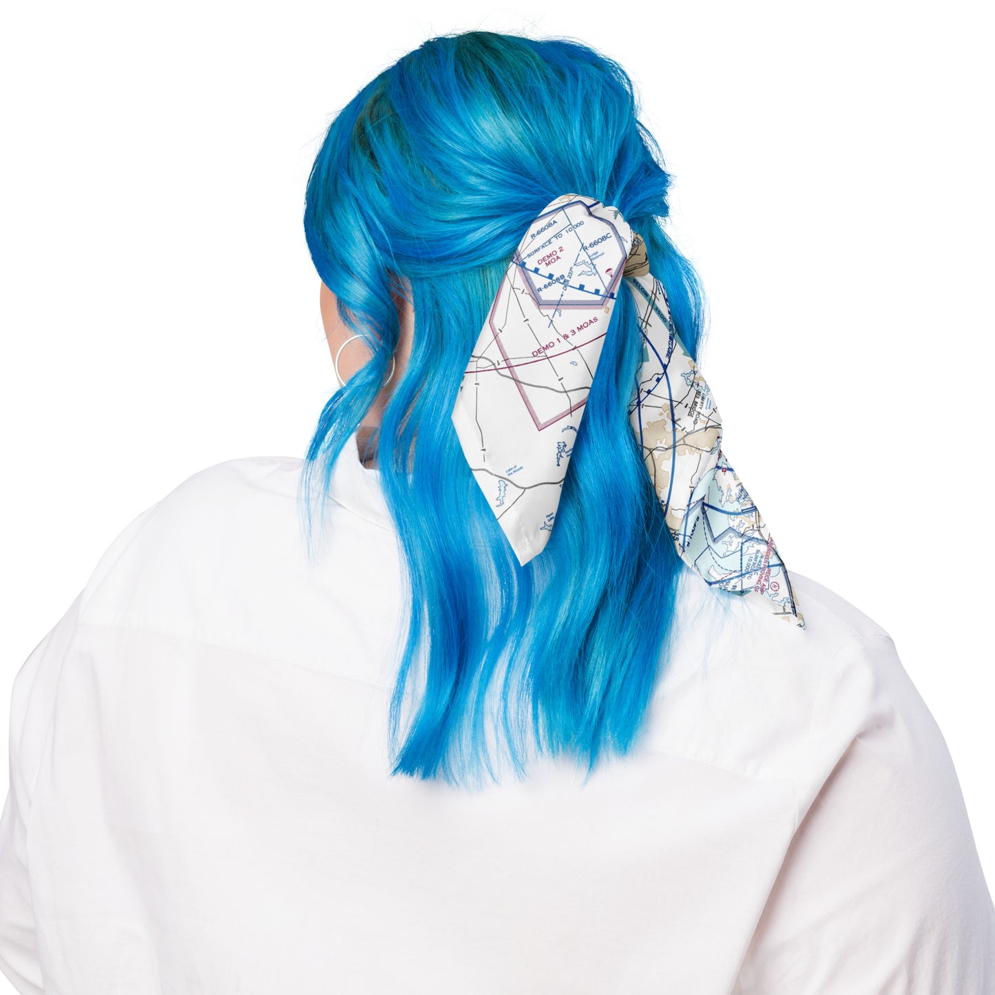 Baltimore-Washington Flyway Chart bandana