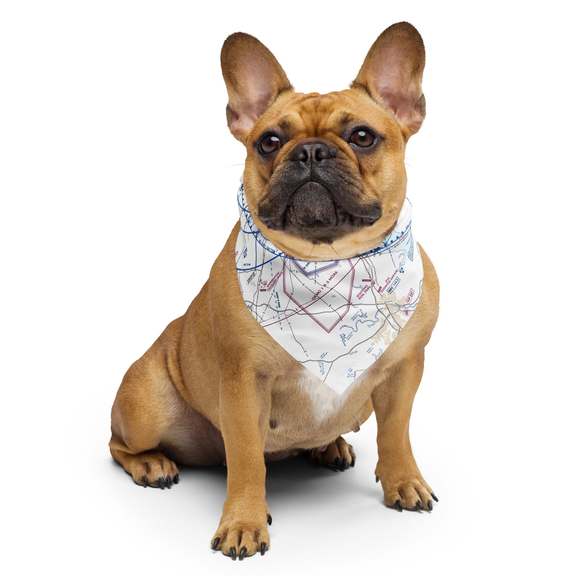 Baltimore-Washington Flyway Chart bandana