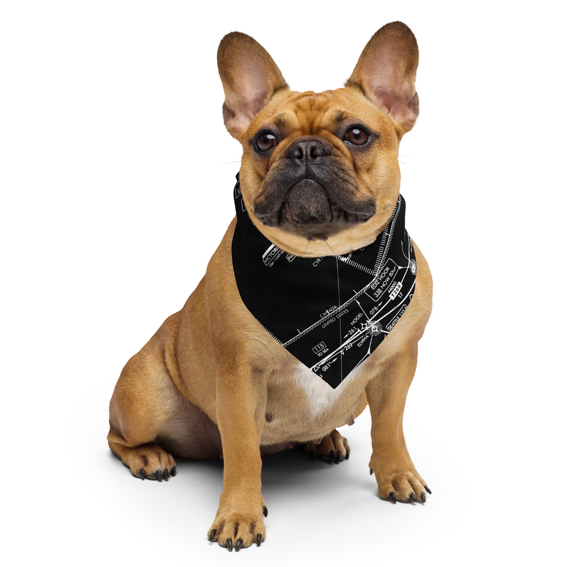 Enroute Low Altitude Chart bandana (ELUS1/black)