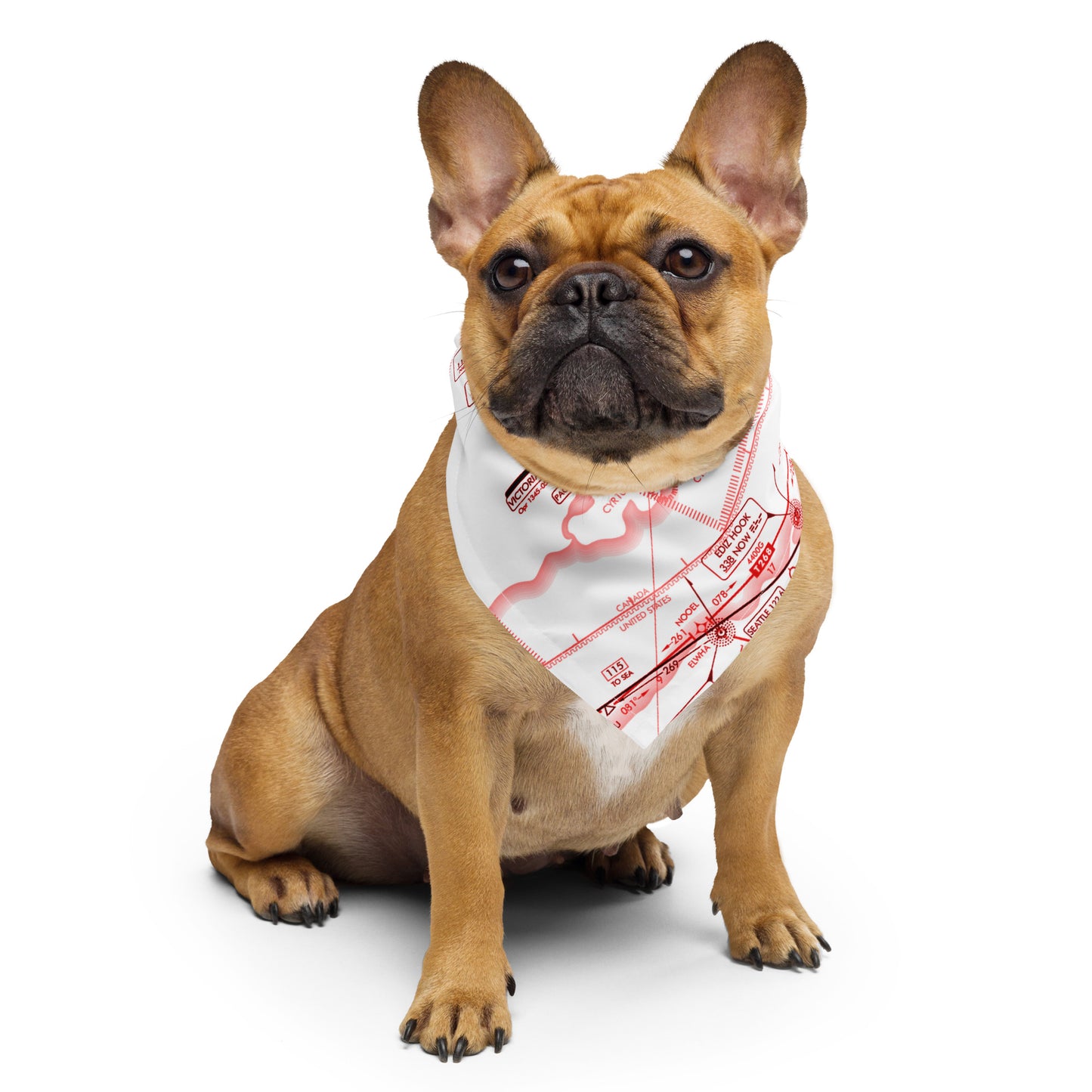 Enroute Low Altitude Chart bandana (ELUS1/red&white)