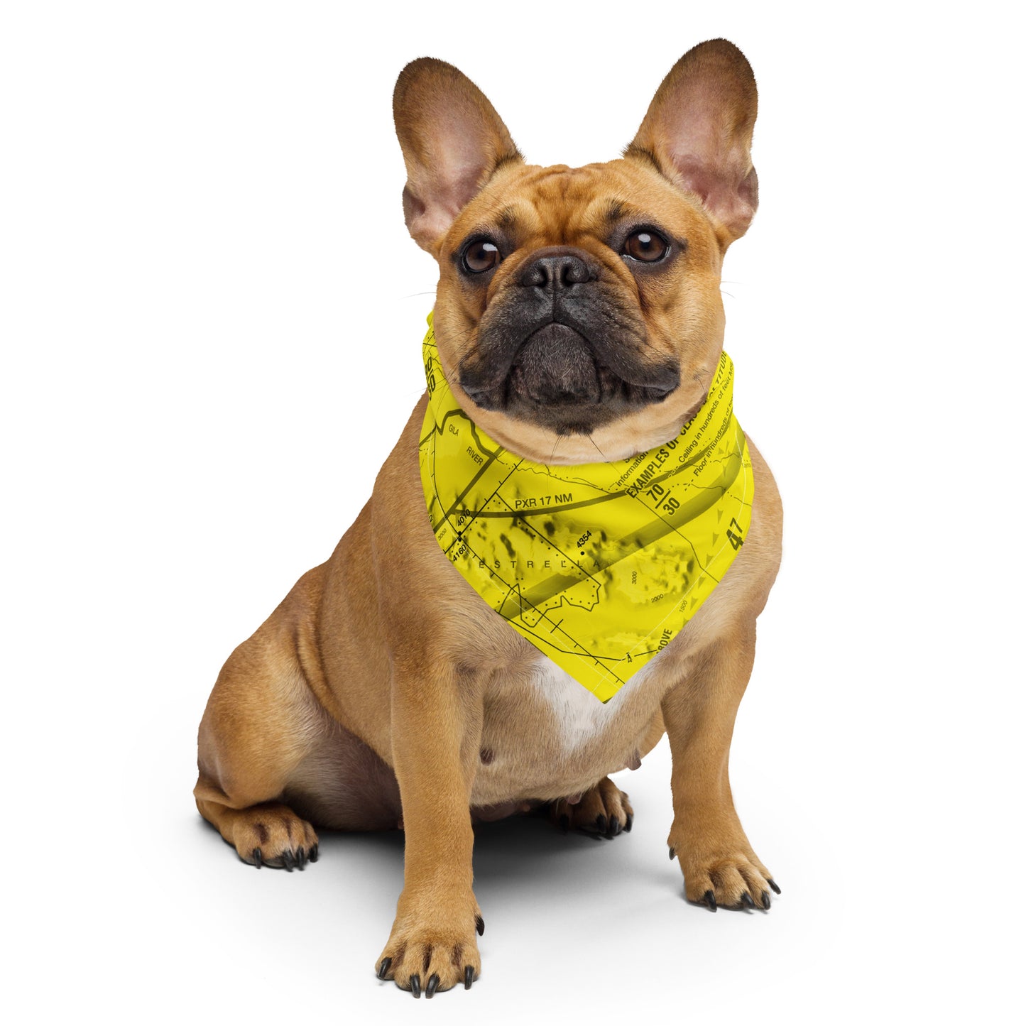 Phoenix TAC Chart bandana (yellow)