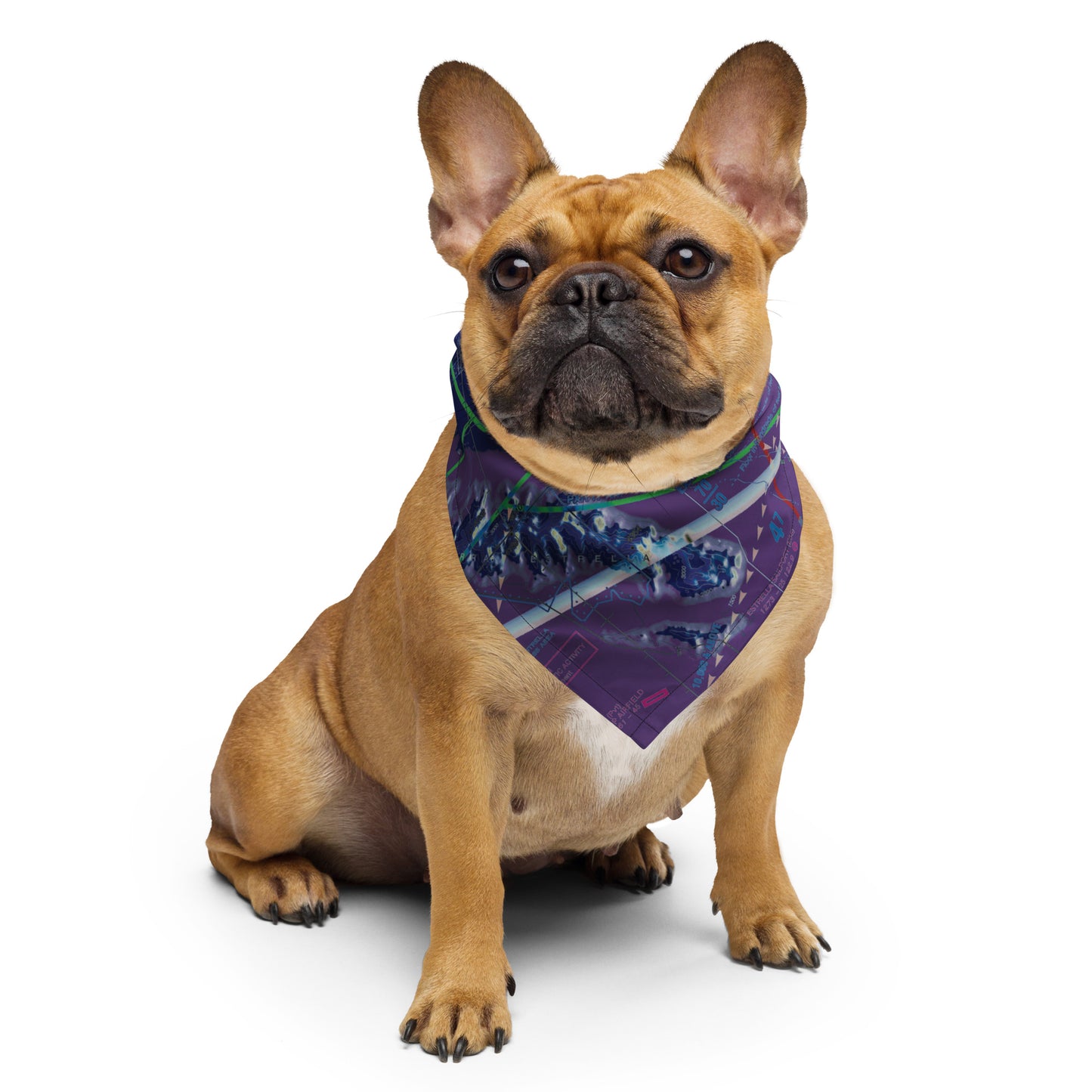 Phoenix TAC Chart bandana (invert)
