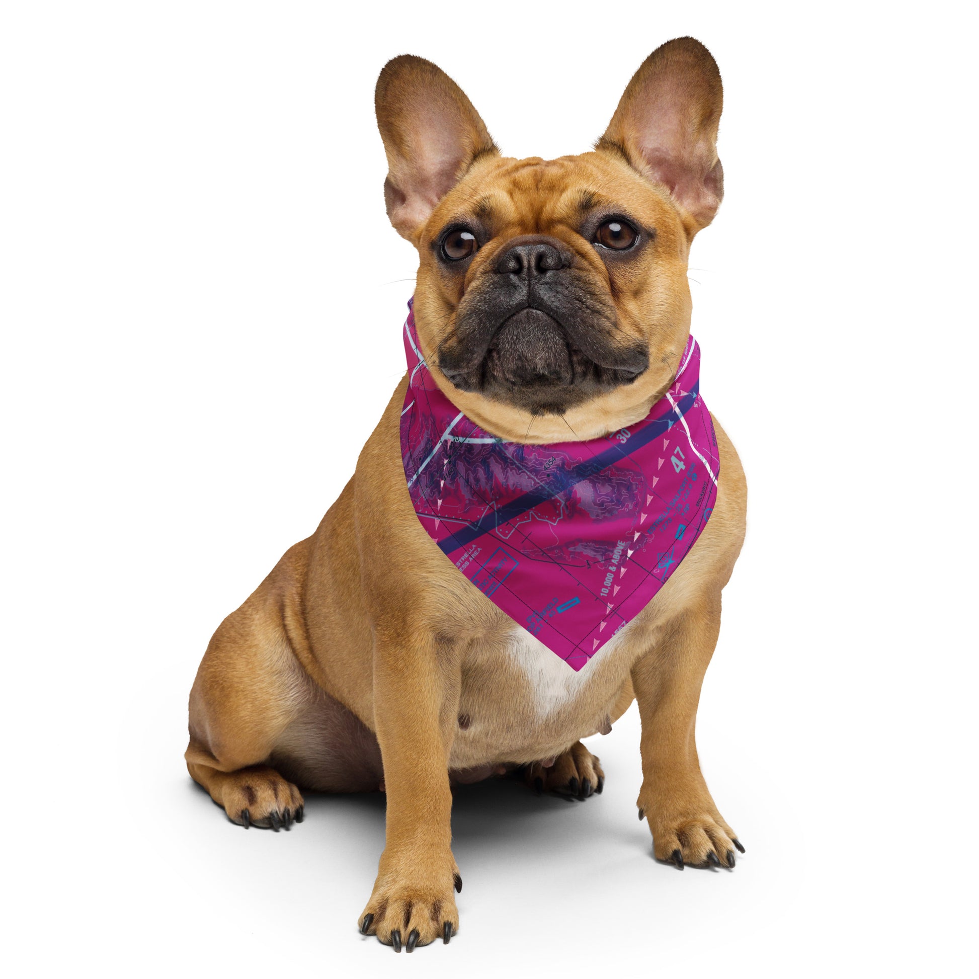 Phoenix TAC Chart bandana (purple)