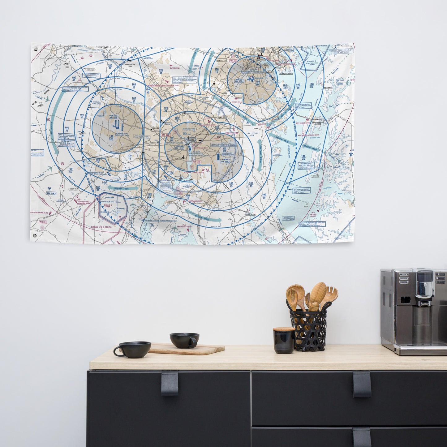 Baltimore-Washington Flyway Chart flag