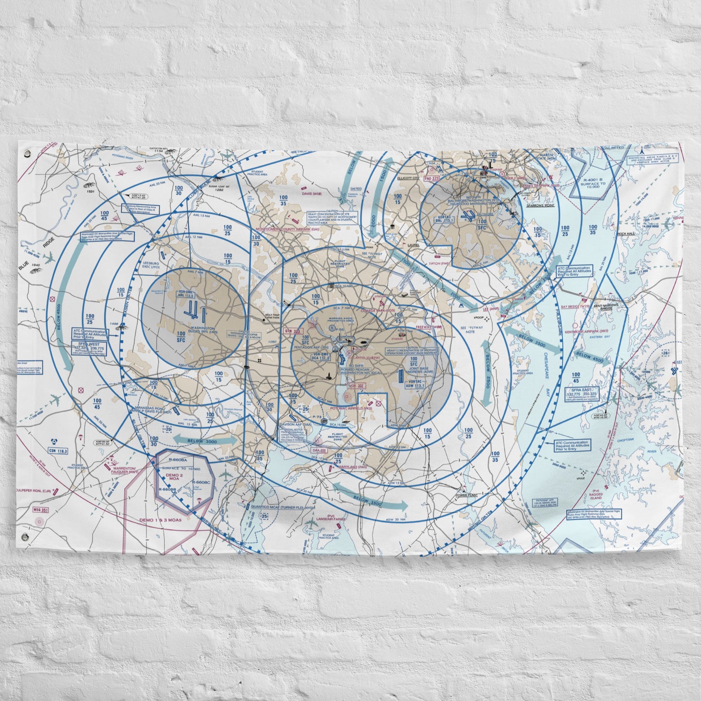 Baltimore-Washington Flyway Chart flag