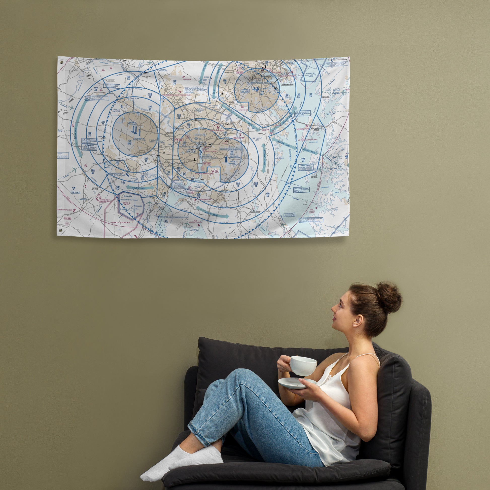Baltimore-Washington Flyway Chart flag