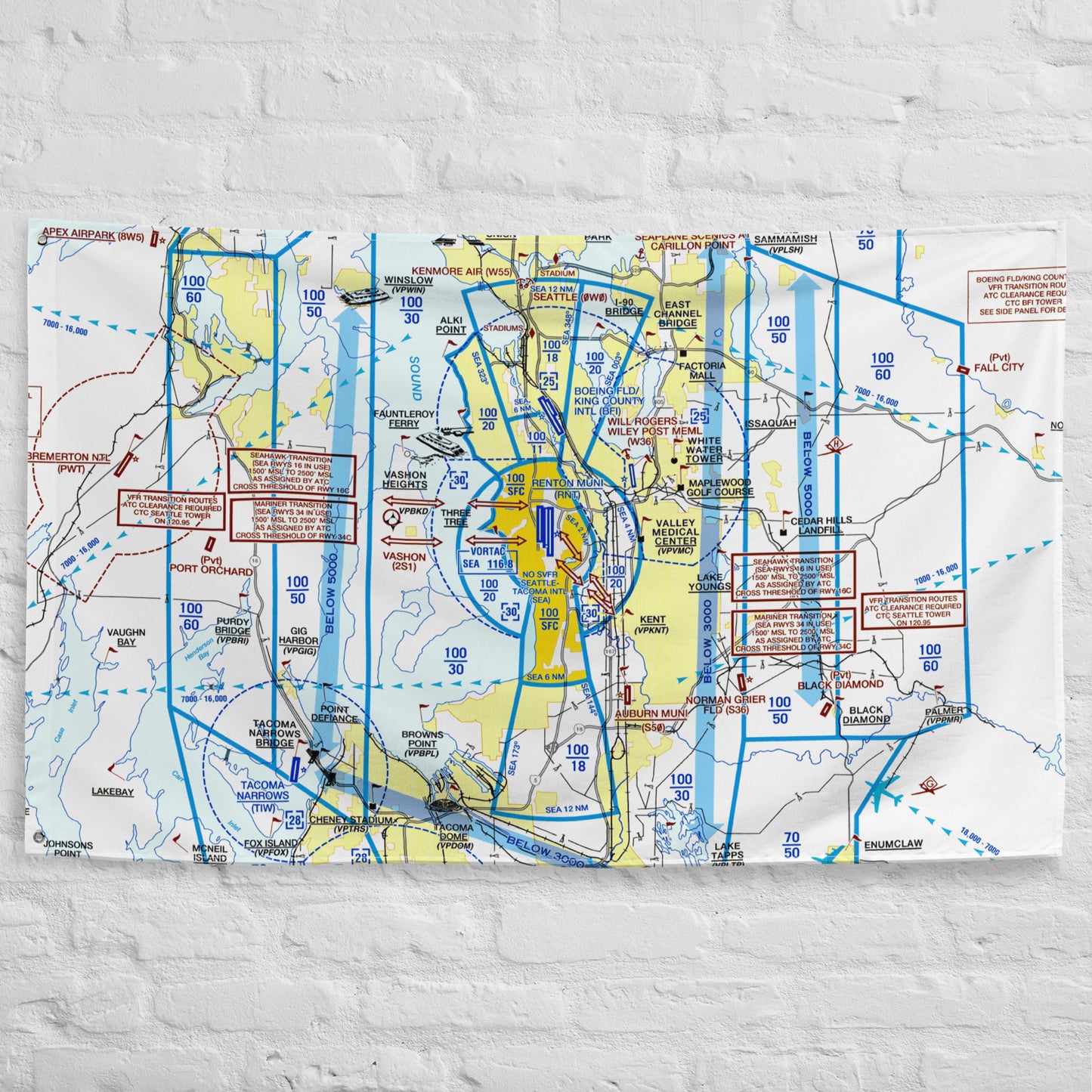 Seattle Flyway Chart flag