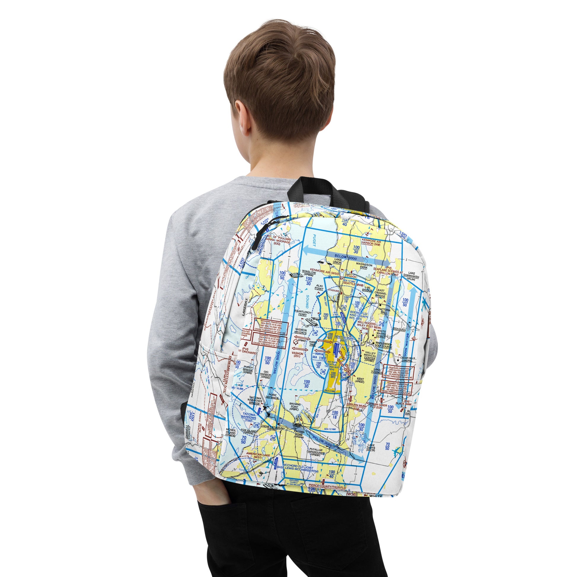 Seattle Flyway Chart Minimalist Backpack