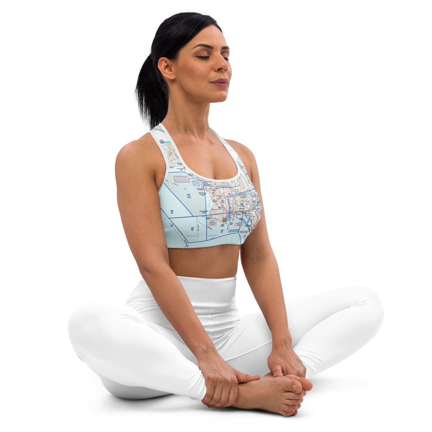 Aeronautical Chart padded sports bra (LAX Flyway Chart)