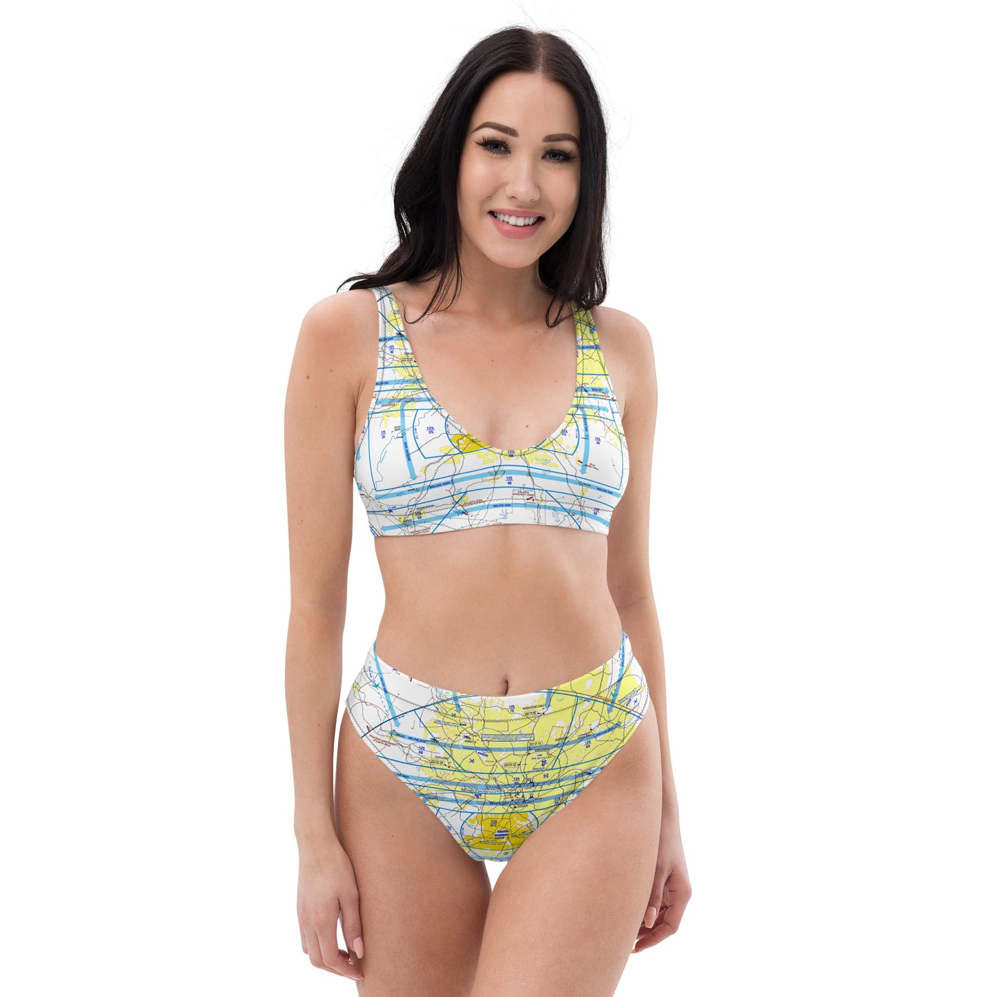 Atlanta Flyway chart recycled high-waisted bikini