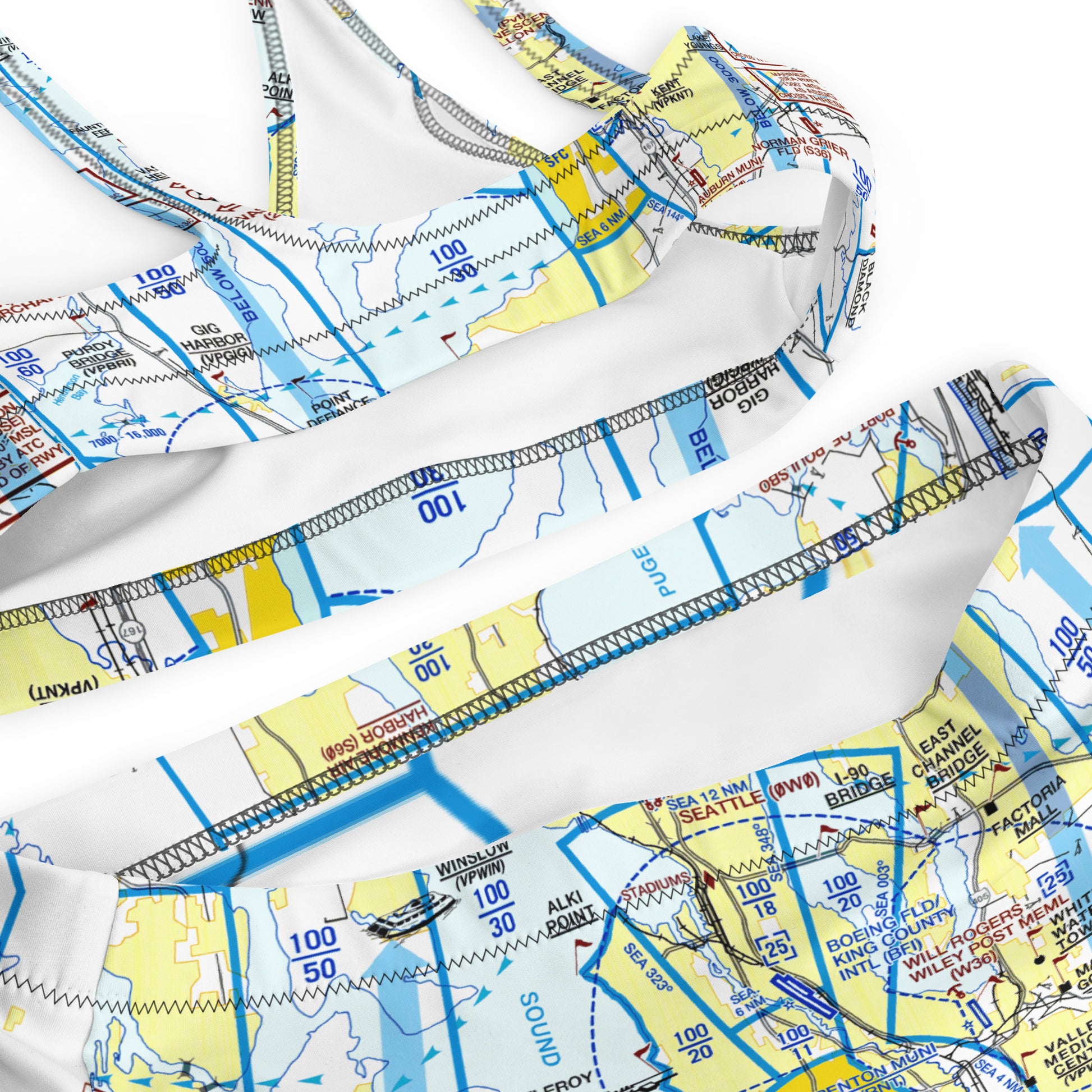 Seattle Flyway Chart recycled high-waisted bikini
