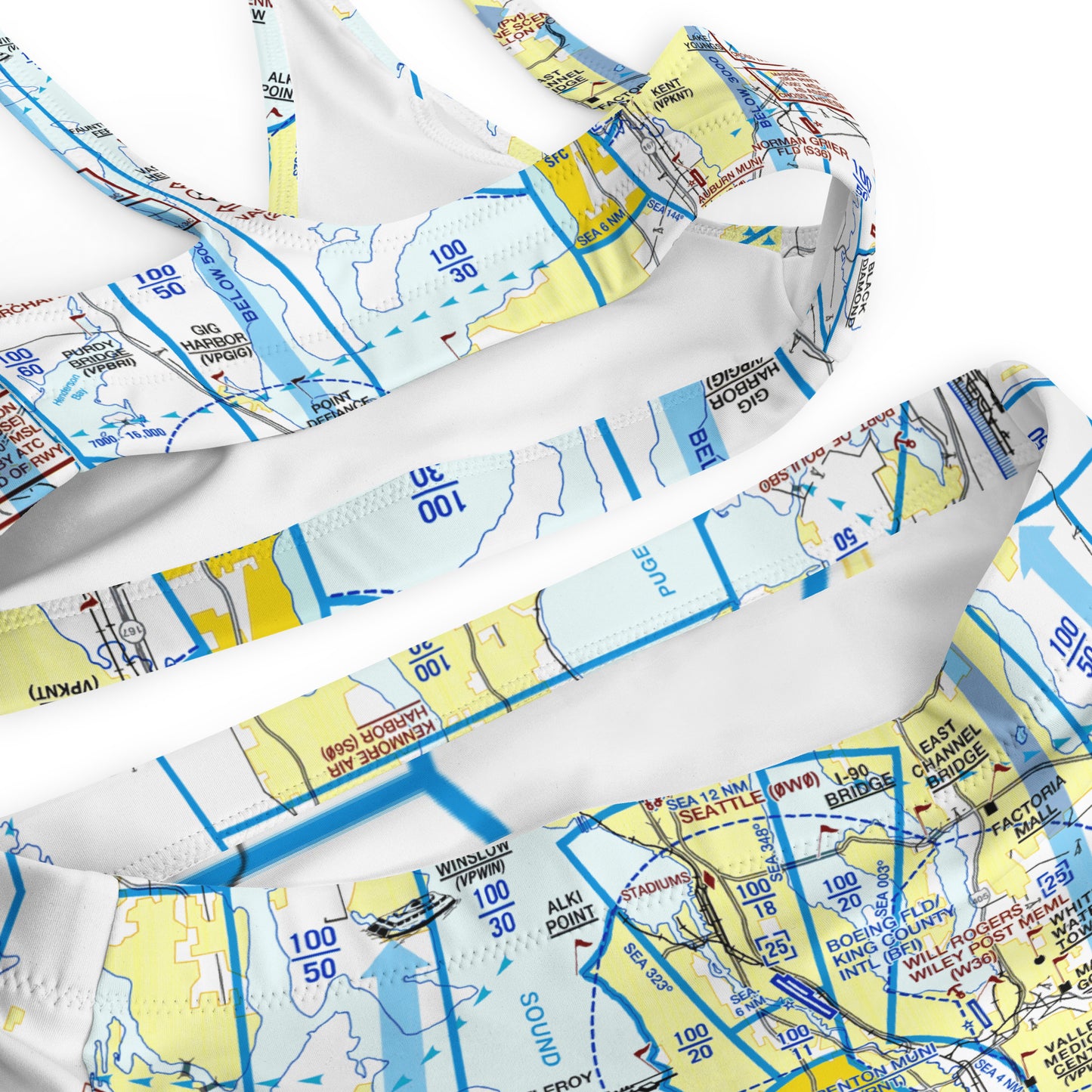 Seattle Flyway Chart recycled high-waisted bikini