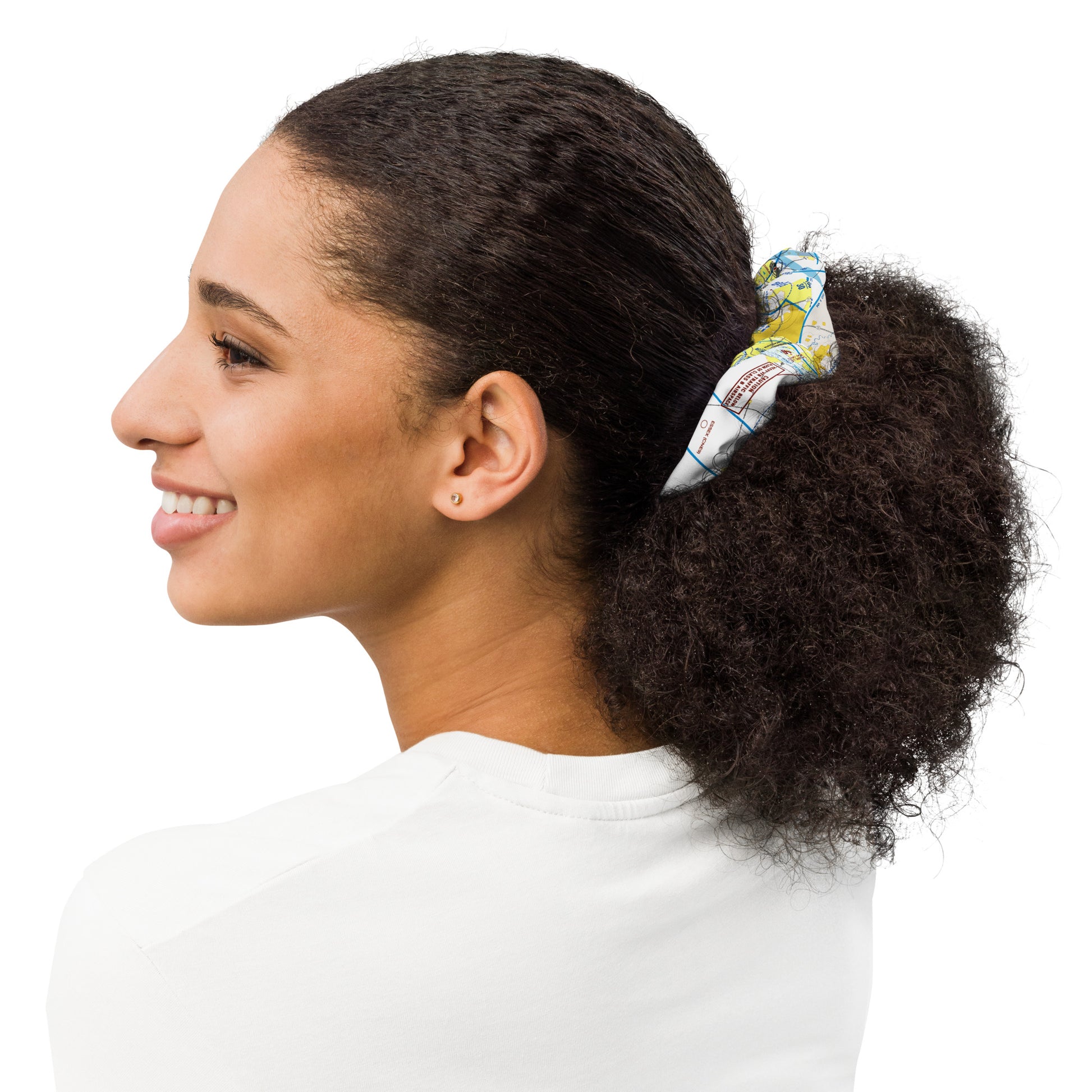 Detroit Flyway Chart scrunchie