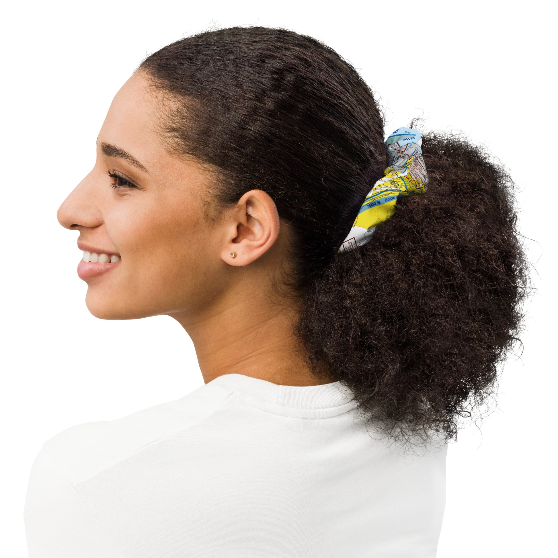 Salt Lake City Flyway Chart scrunchie