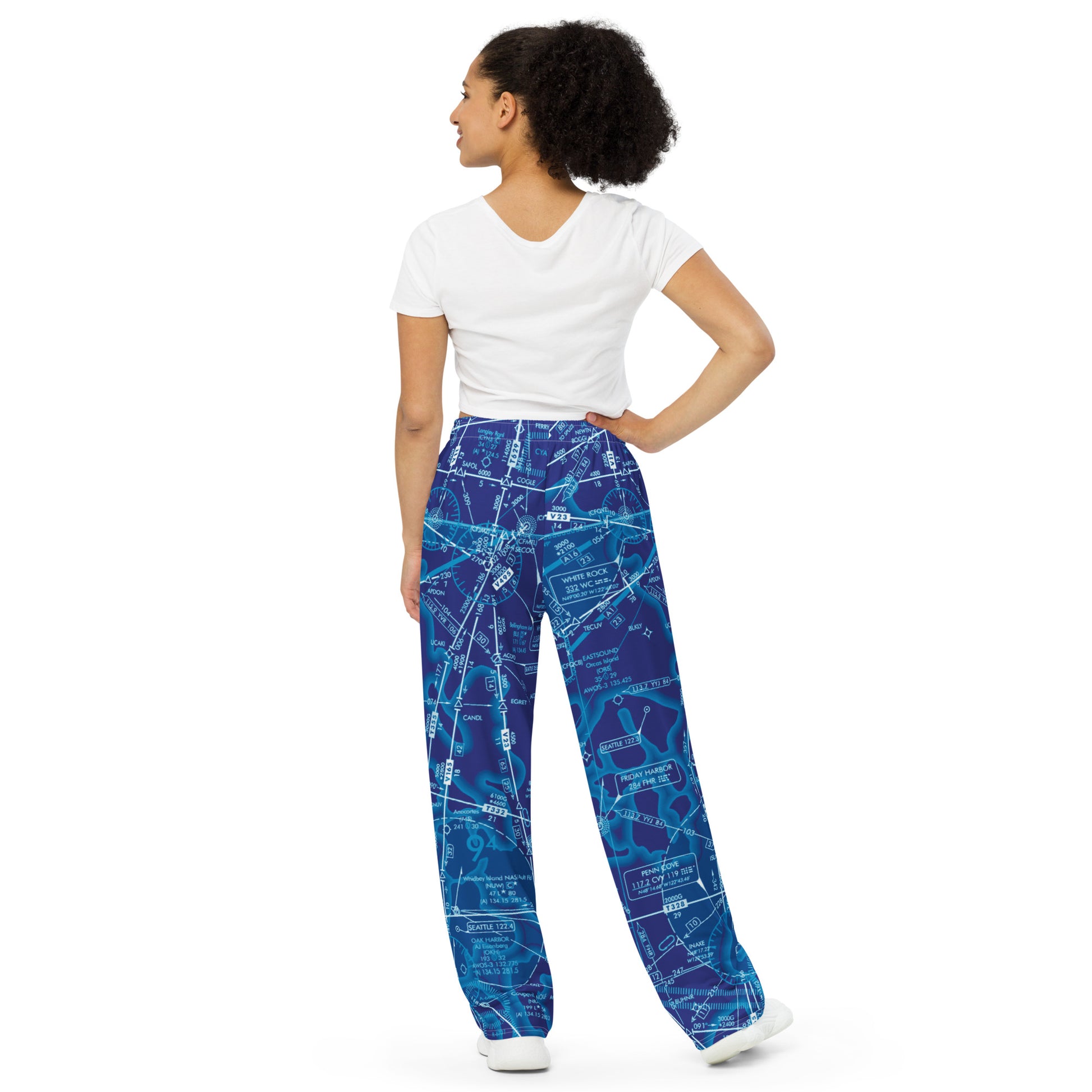 Enroute Low Altitude Chart (ELUS1) wide-leg pants (blue)