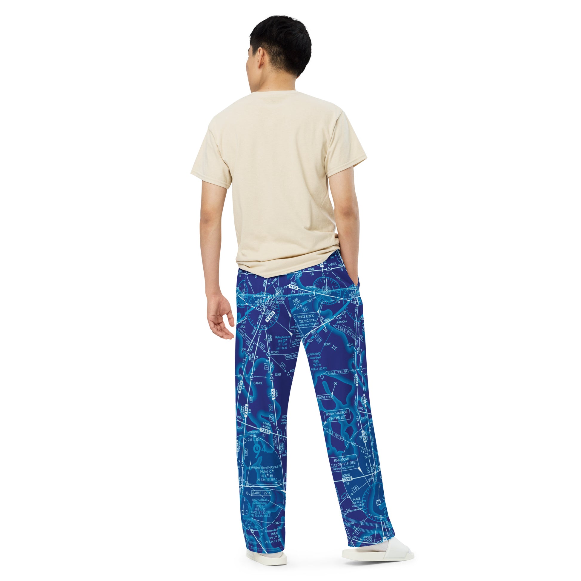 Enroute Low Altitude Chart (ELUS1) wide-leg pants (blue)