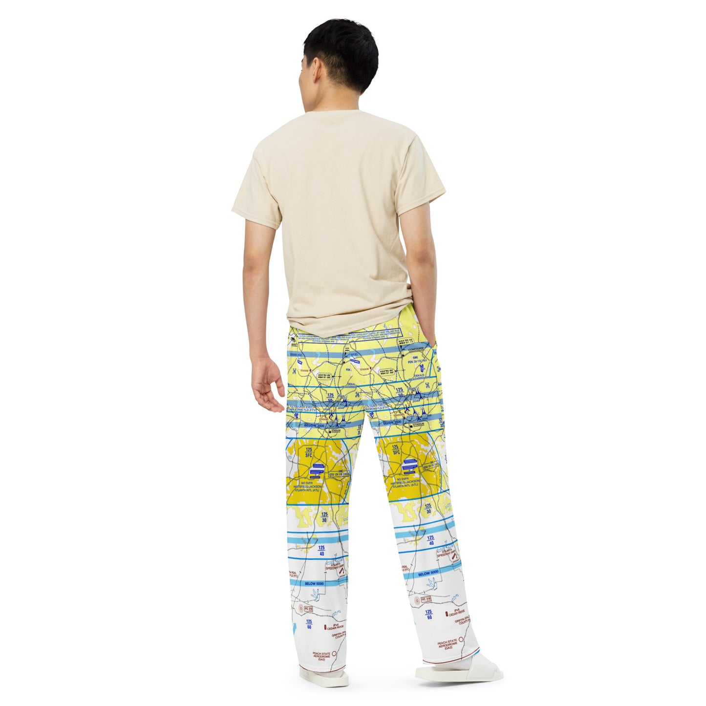Atlanta Flyway Chart wide-leg pants