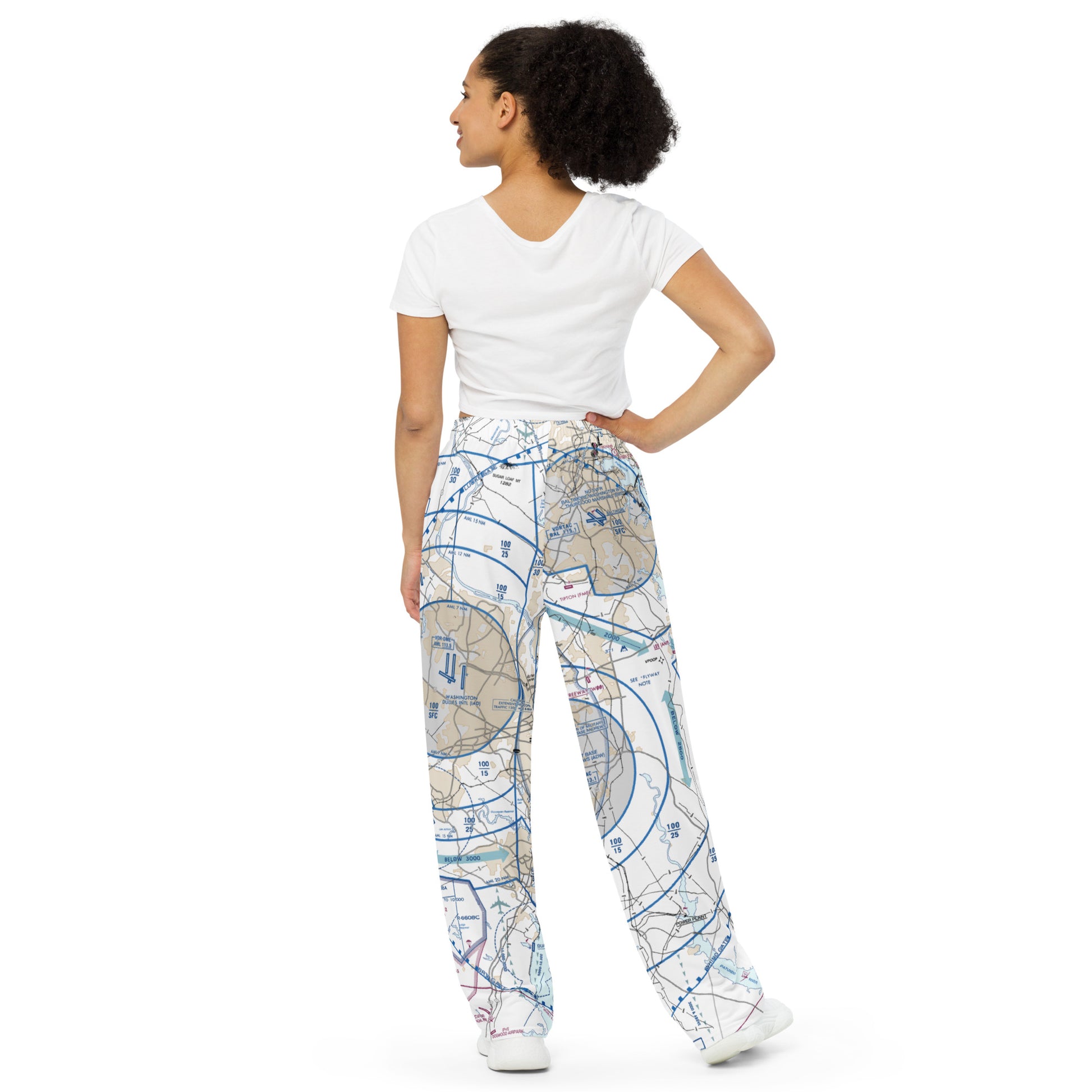 Baltimore-Washington Flyway Chart wide-leg pants