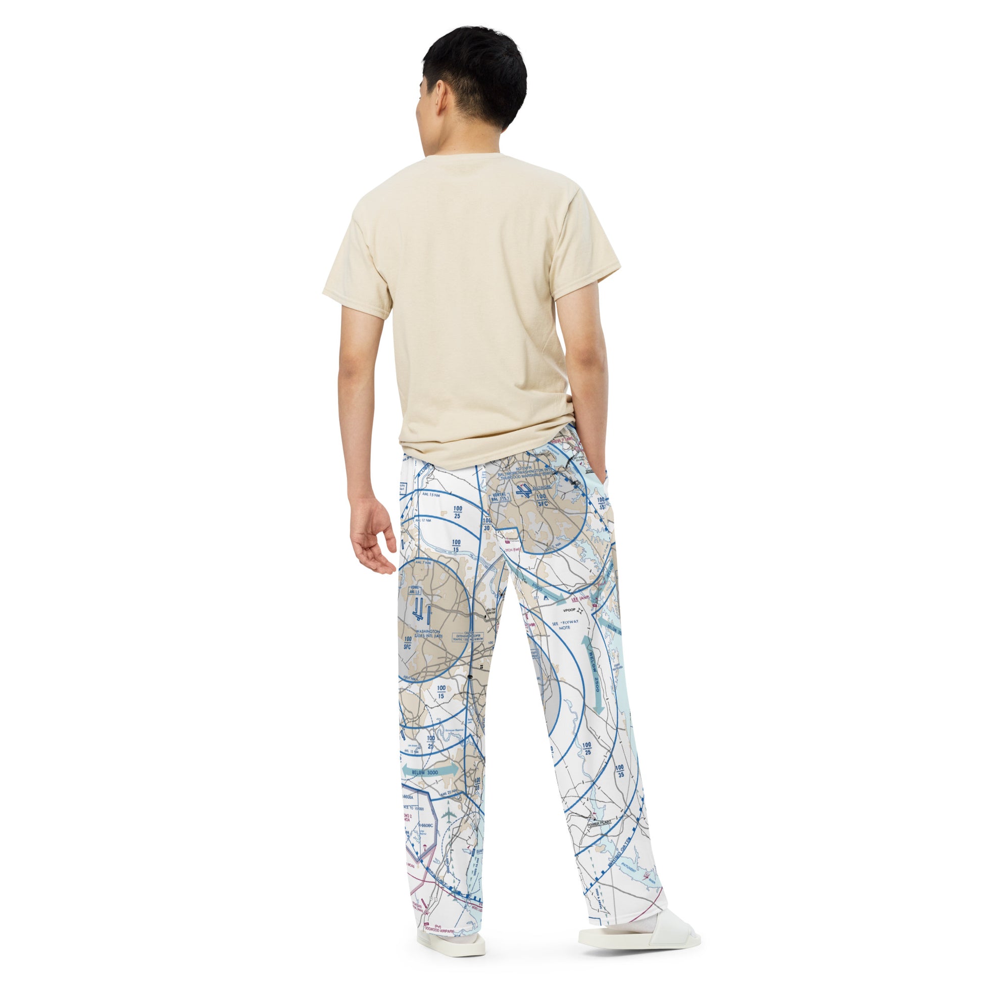 Baltimore-Washington Flyway Chart wide-leg pants