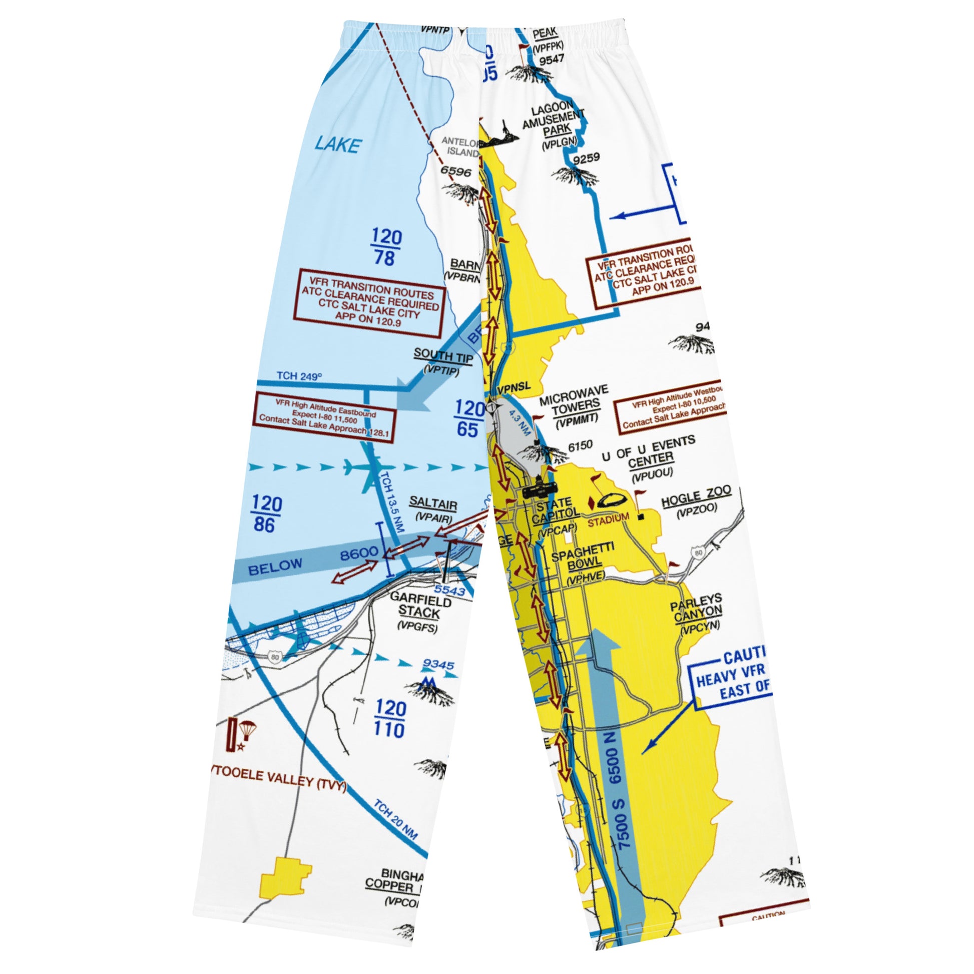 Salt Lake City Flyway Chart wide-leg pants