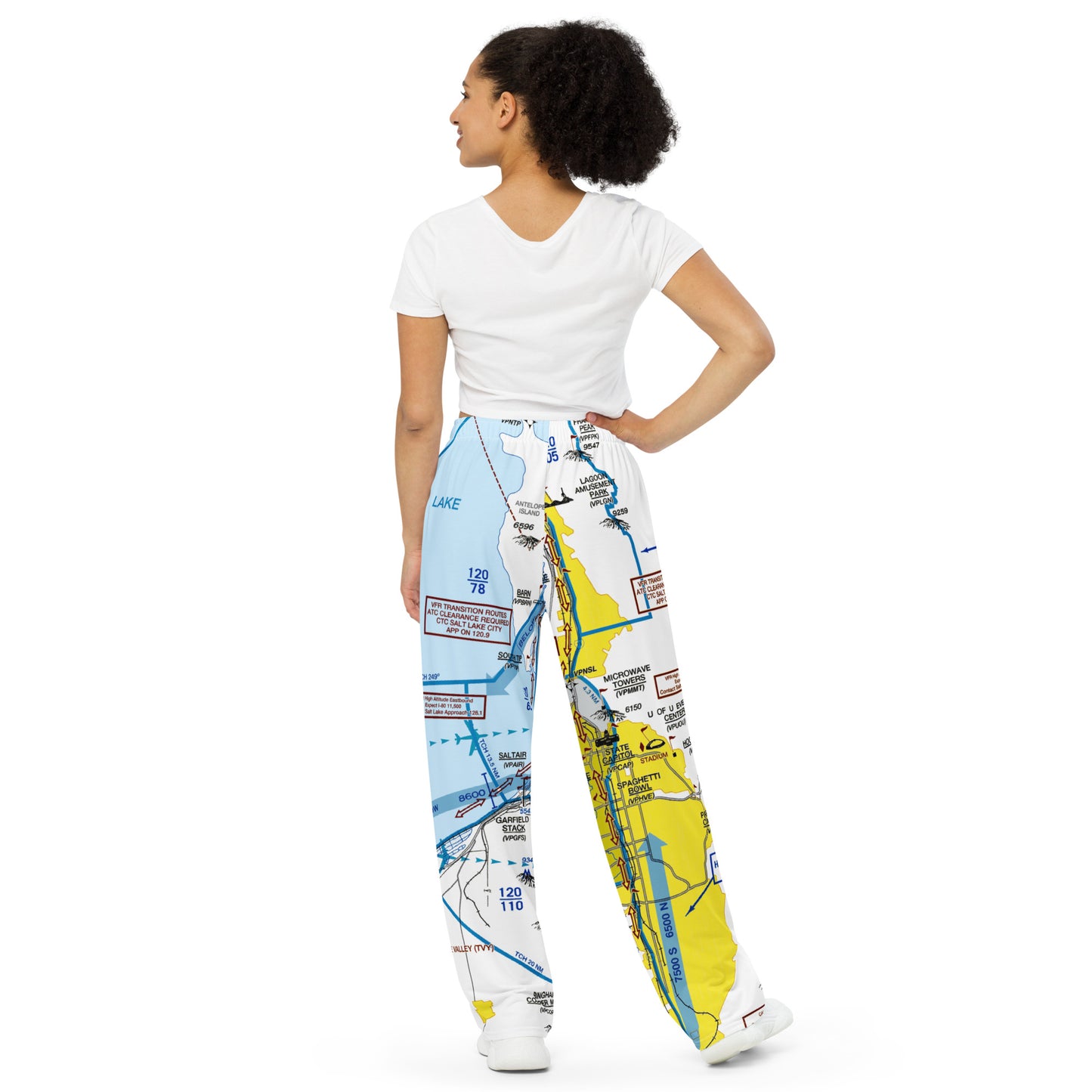 Salt Lake City Flyway Chart wide-leg pants