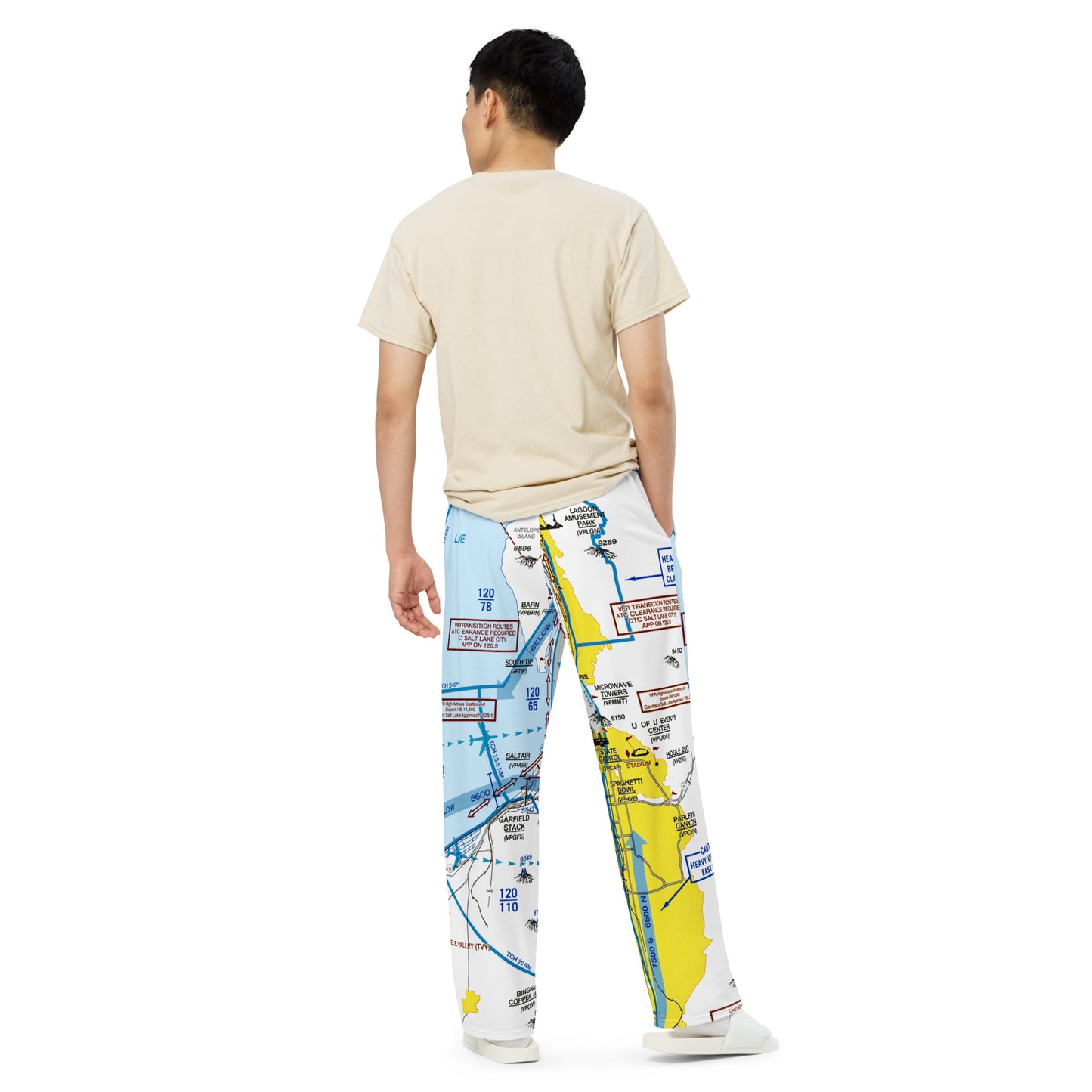 Salt Lake City Flyway Chart wide-leg pants