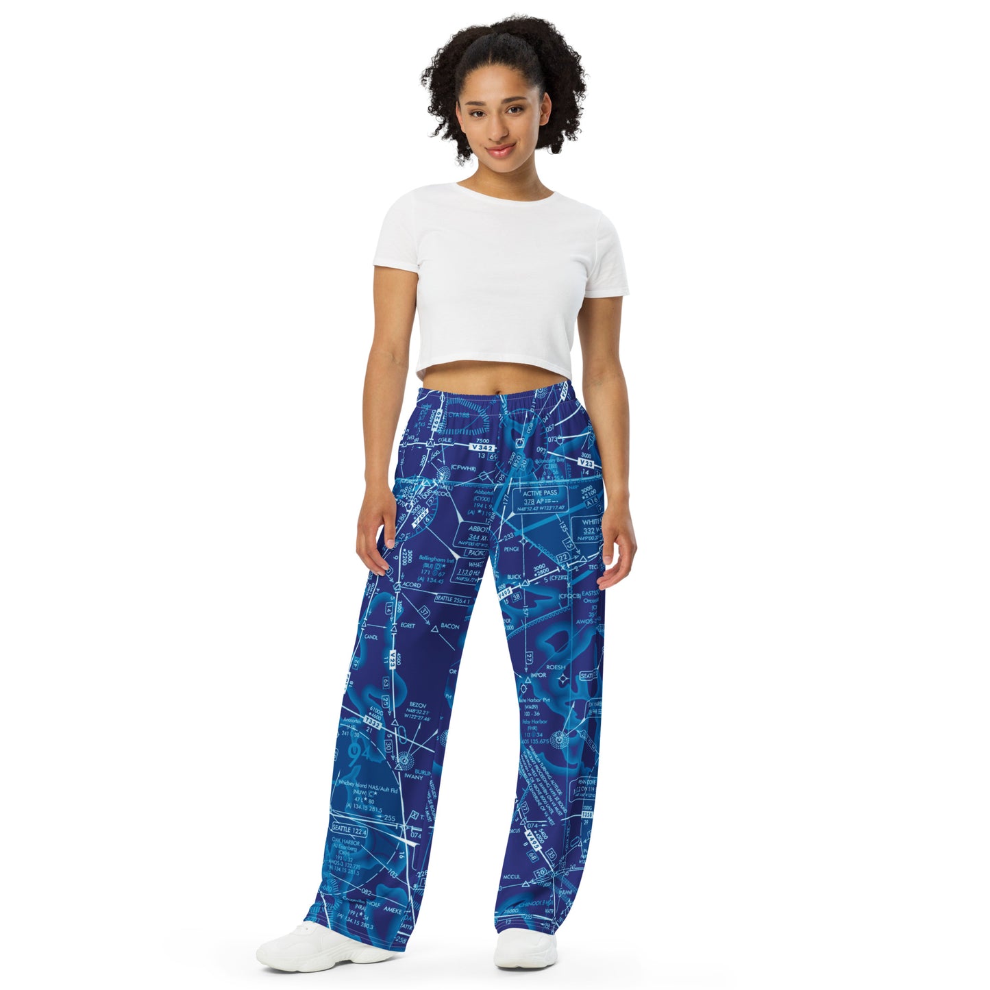 Enroute Low Altitude Chart (ELUS1) wide-leg pants (blue)