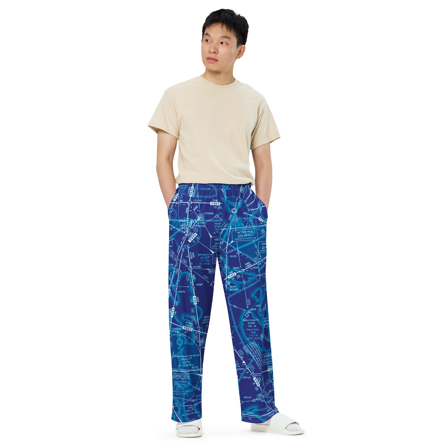 Enroute Low Altitude Chart (ELUS1) wide-leg pants (blue)