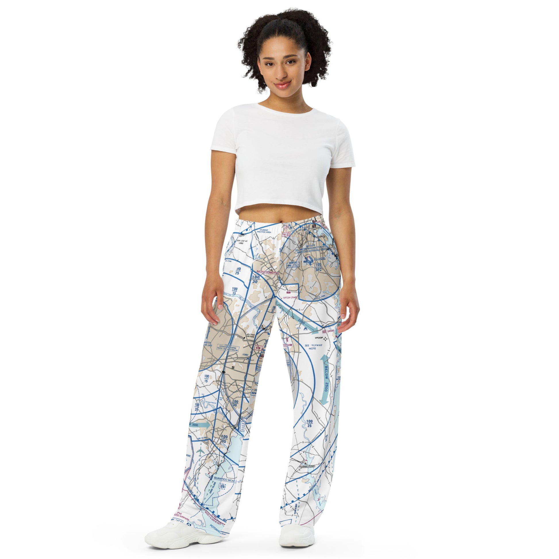 Baltimore-Washington Flyway Chart wide-leg pants