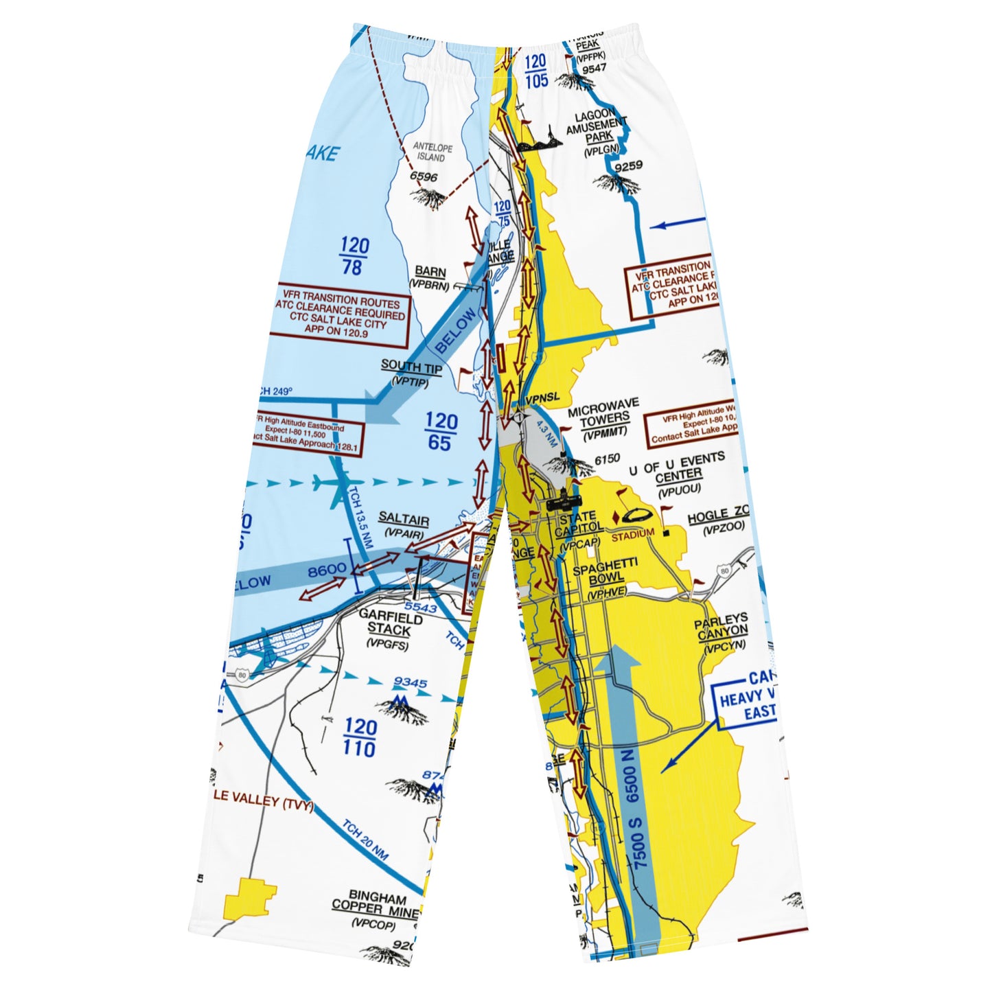 Salt Lake City Flyway Chart wide-leg pants