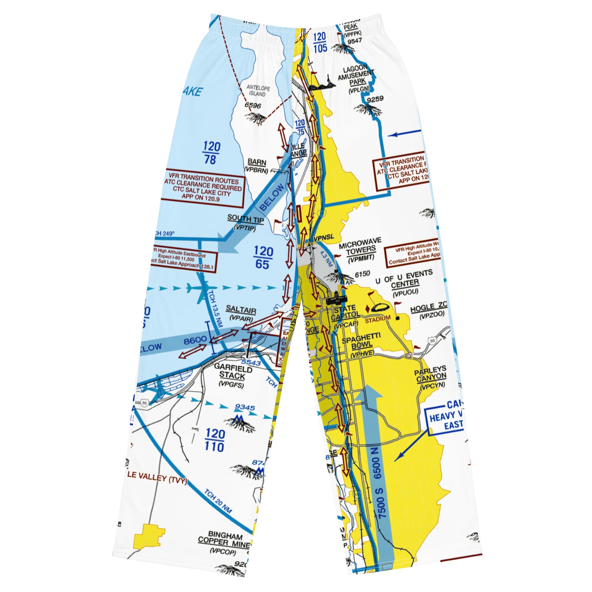 Salt Lake City Flyway Chart wide-leg pants