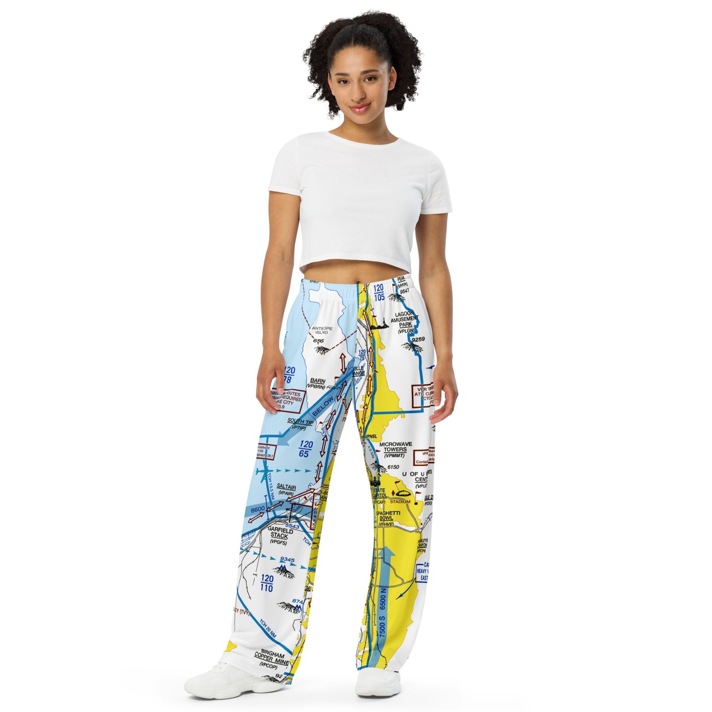 Salt Lake City Flyway Chart wide-leg pants