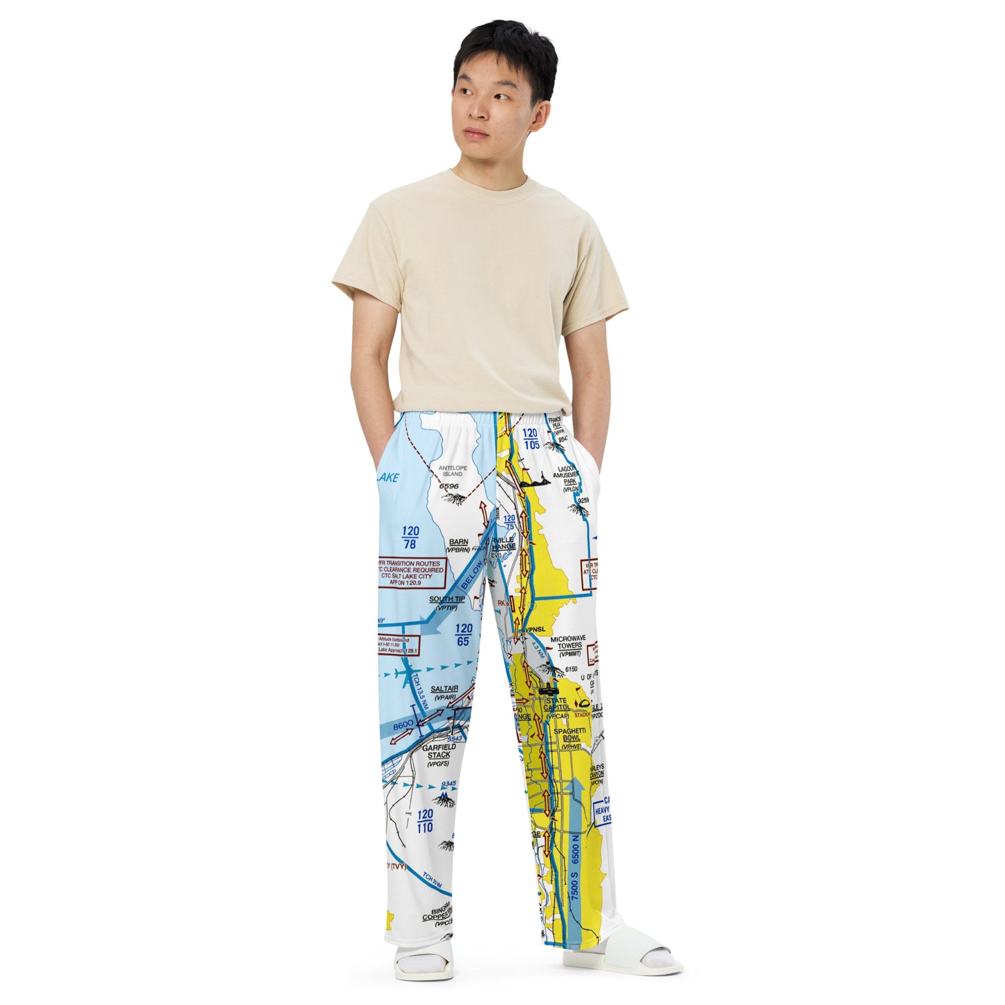 Salt Lake City Flyway Chart wide-leg pants