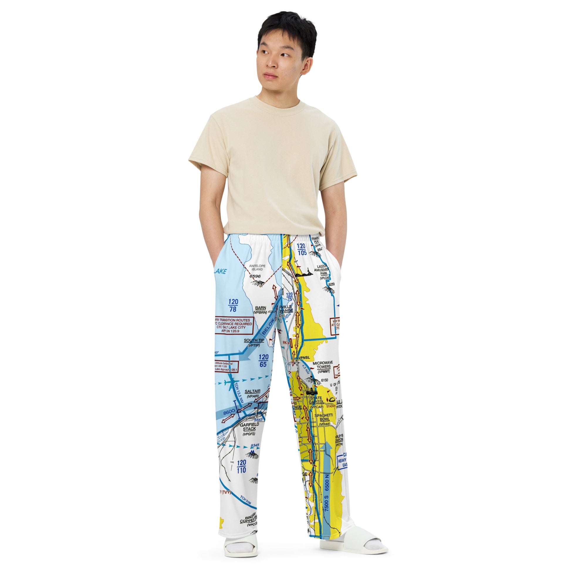 Salt Lake City Flyway Chart wide-leg pants