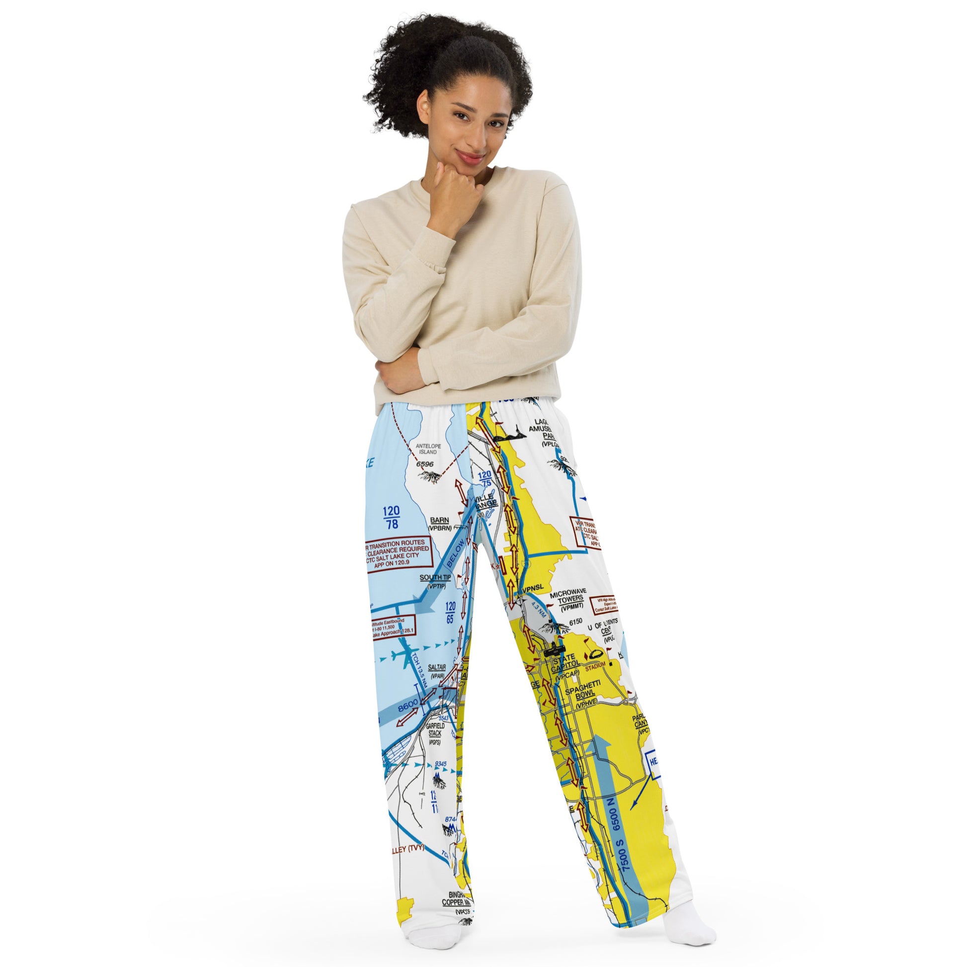 Salt Lake City Flyway Chart wide-leg pants