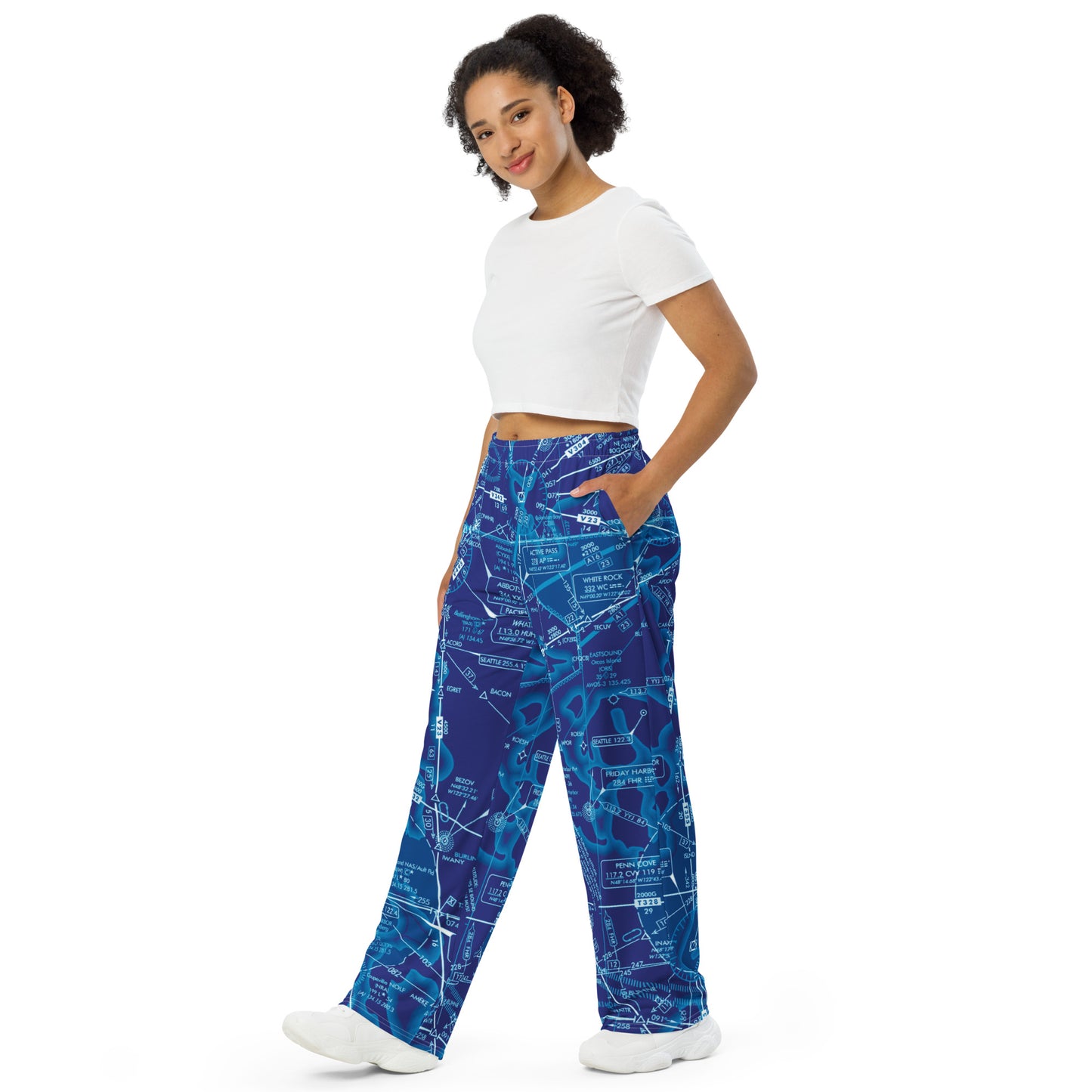 Enroute Low Altitude Chart (ELUS1) wide-leg pants (blue)