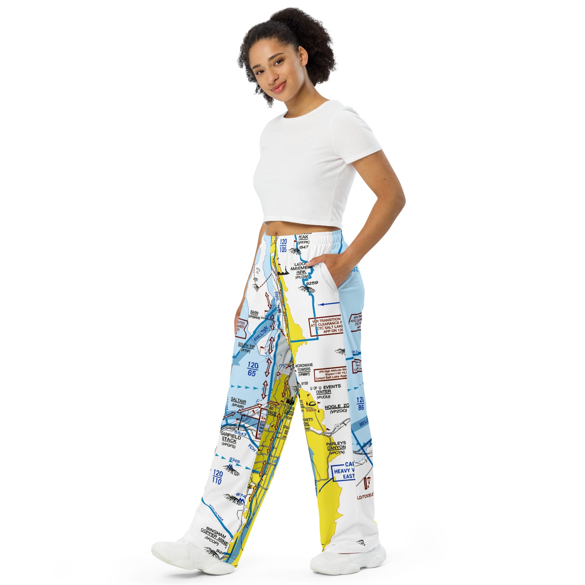 Salt Lake City Flyway Chart wide-leg pants
