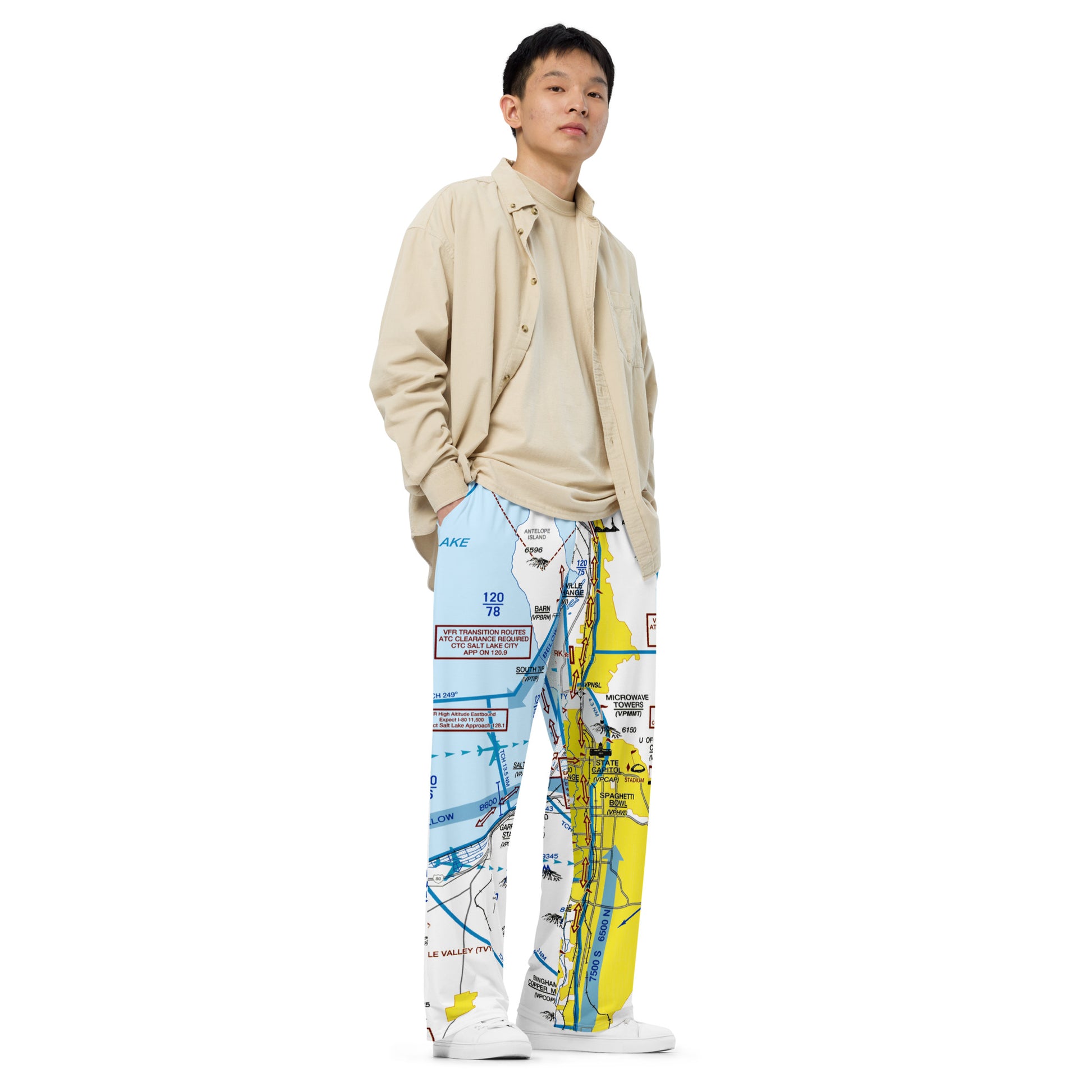 Salt Lake City Flyway Chart wide-leg pants