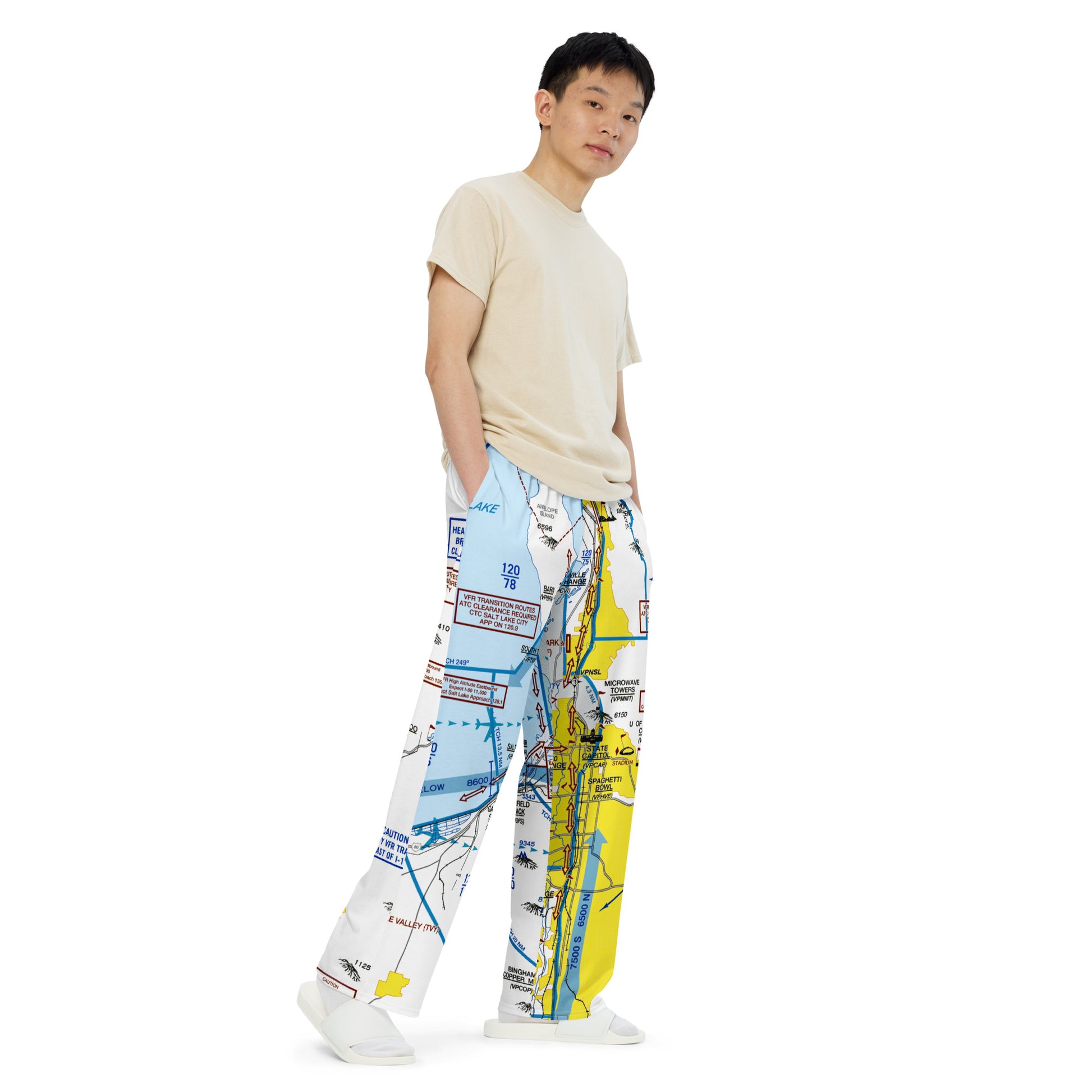Salt Lake City Flyway Chart wide-leg pants