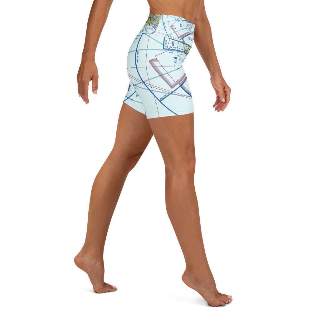 Honolulu Sectional Chart shorts