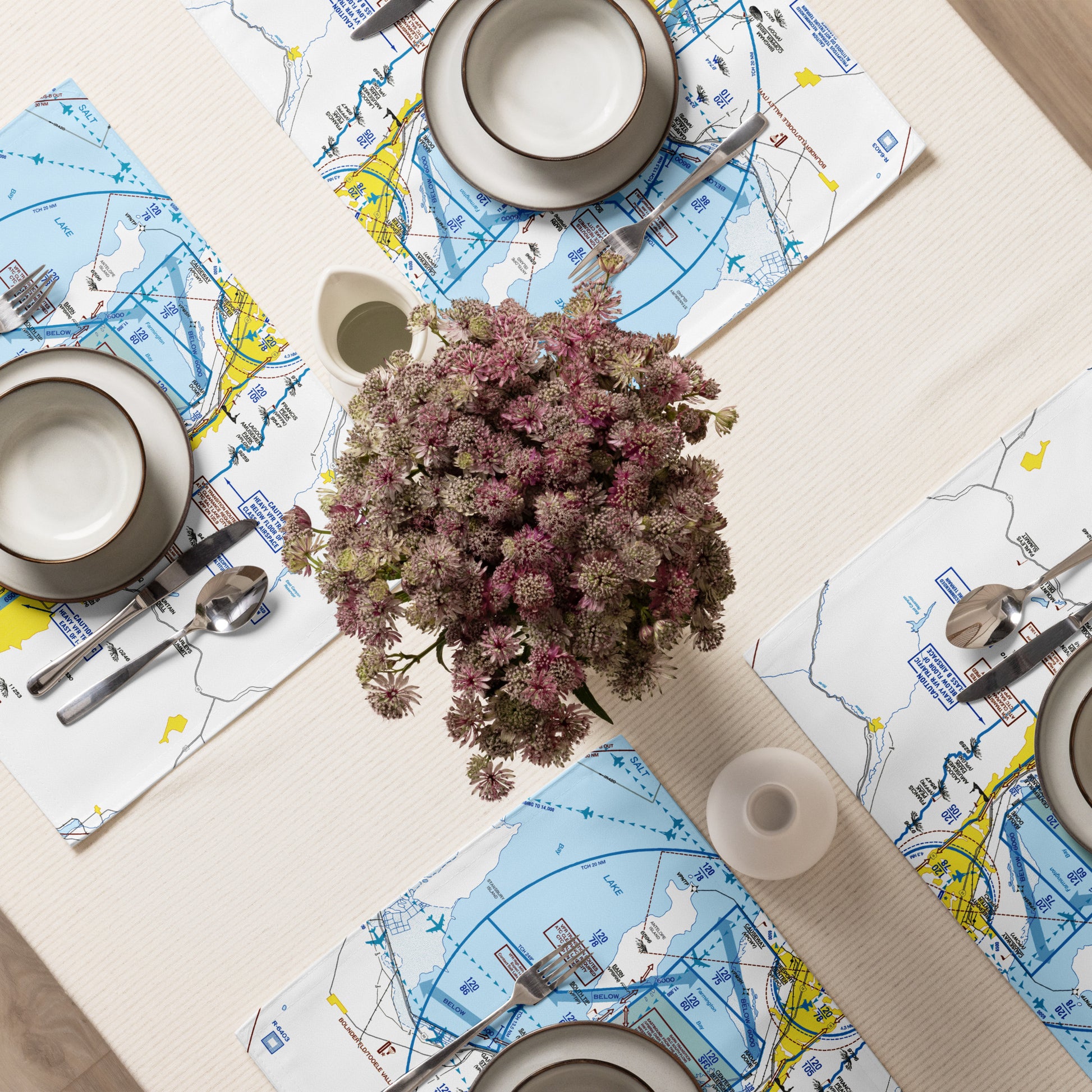 Salt Lake City Flyway Chart kitchen placemat set of 4