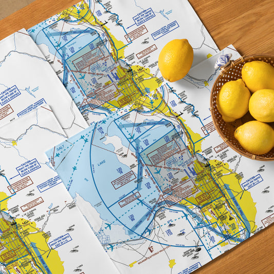 Salt Lake City Flyway Chart kitchen placemat set of 4