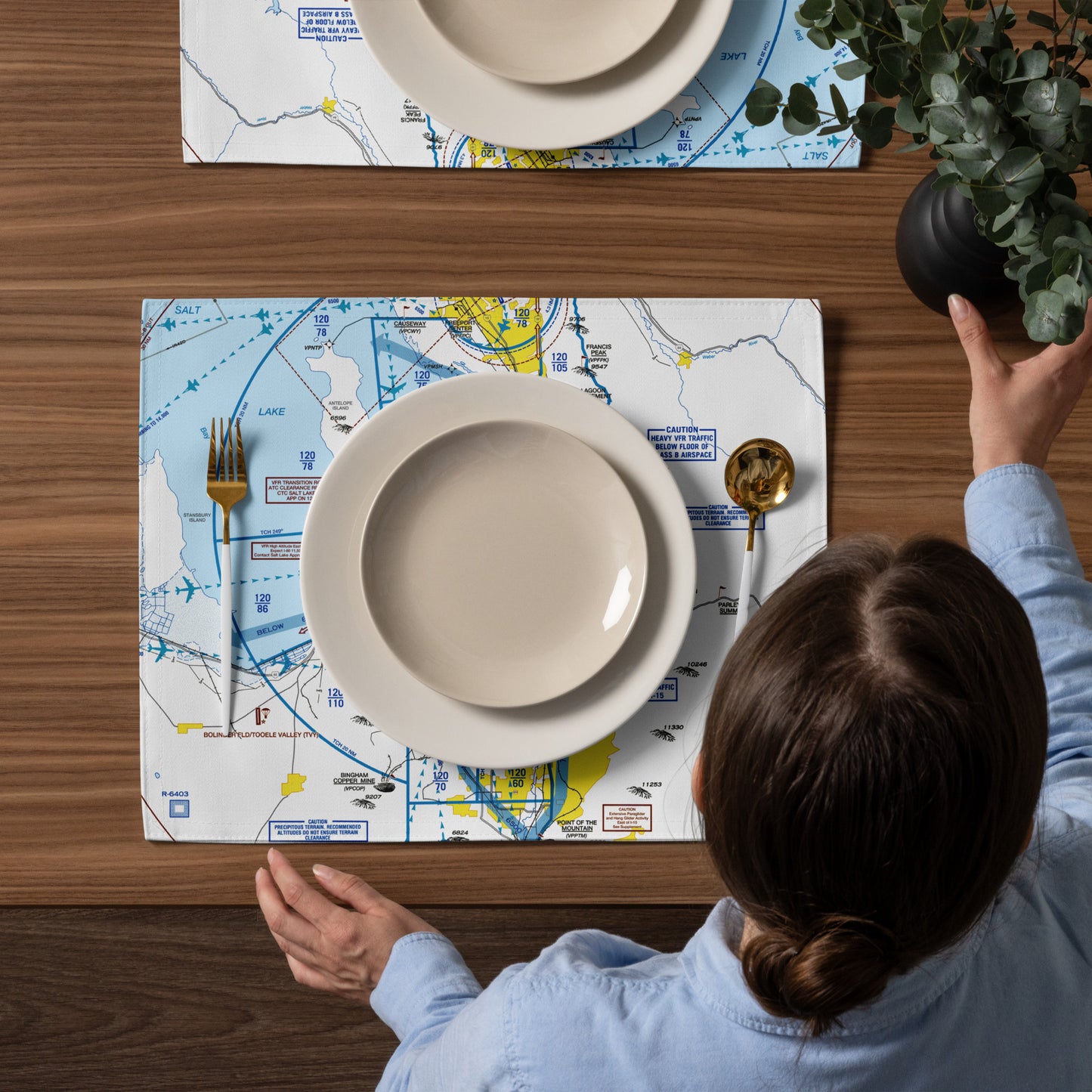 Salt Lake City Flyway Chart kitchen placemat set of 4