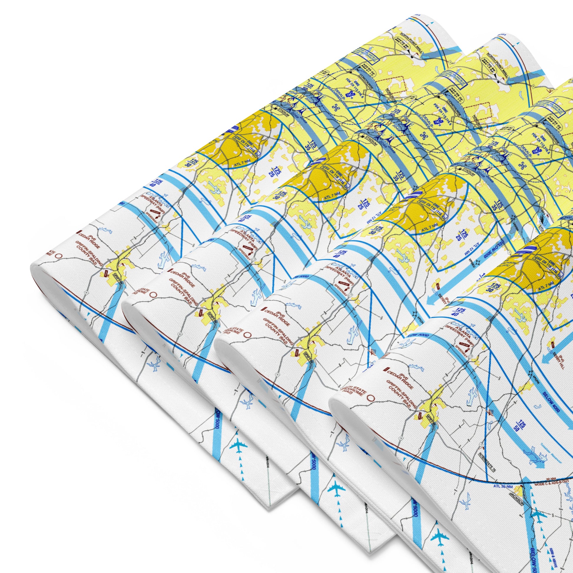Atlanta Flyway Chart kitchen placemat set of 4