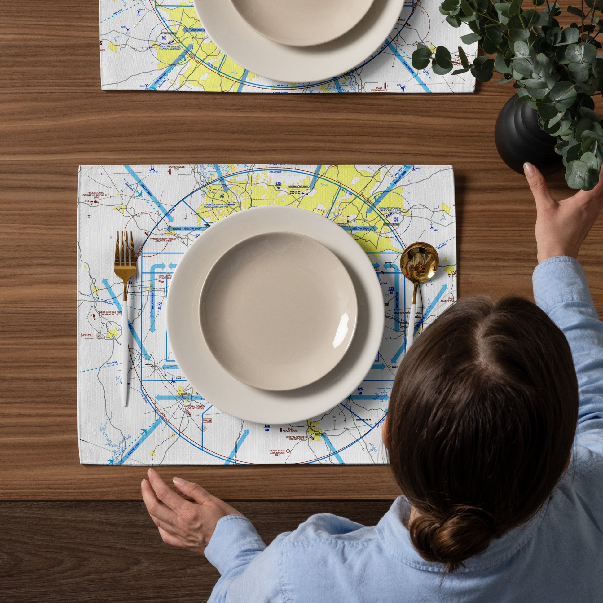 Atlanta Flyway Chart kitchen placemat set of 4