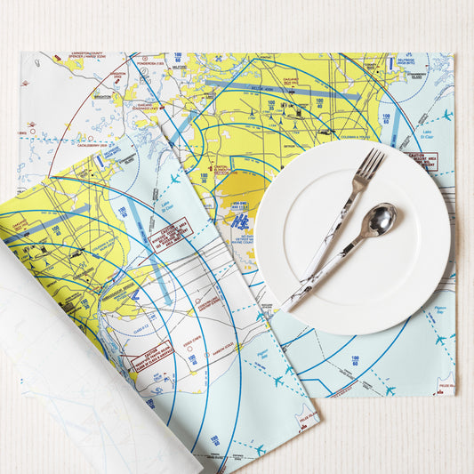 Detroit Flyway Chart kitchen placemat set of 4